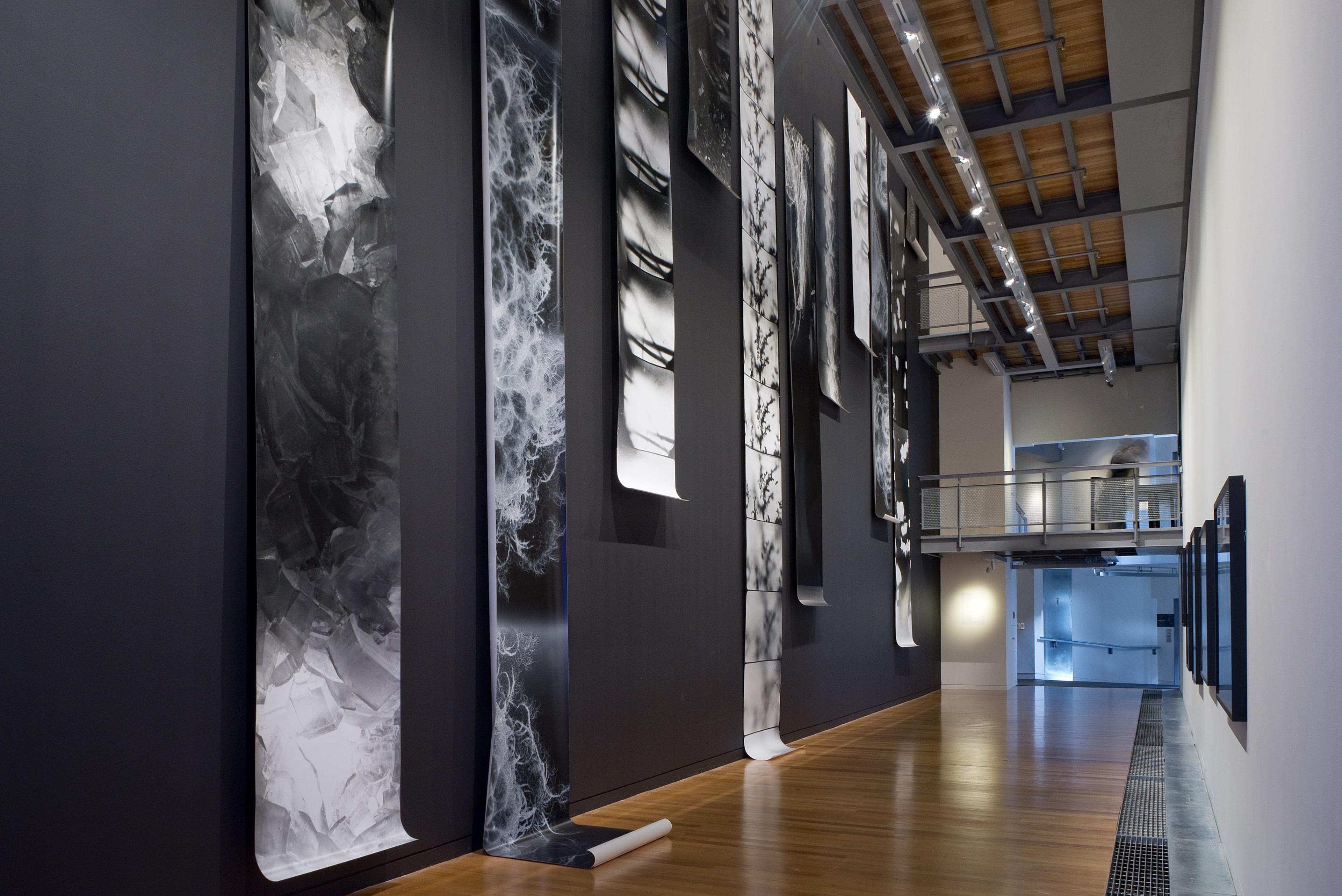 Joyce Campbell, As It Falls, 2004-2019, resin coated gelatin silver photograph.