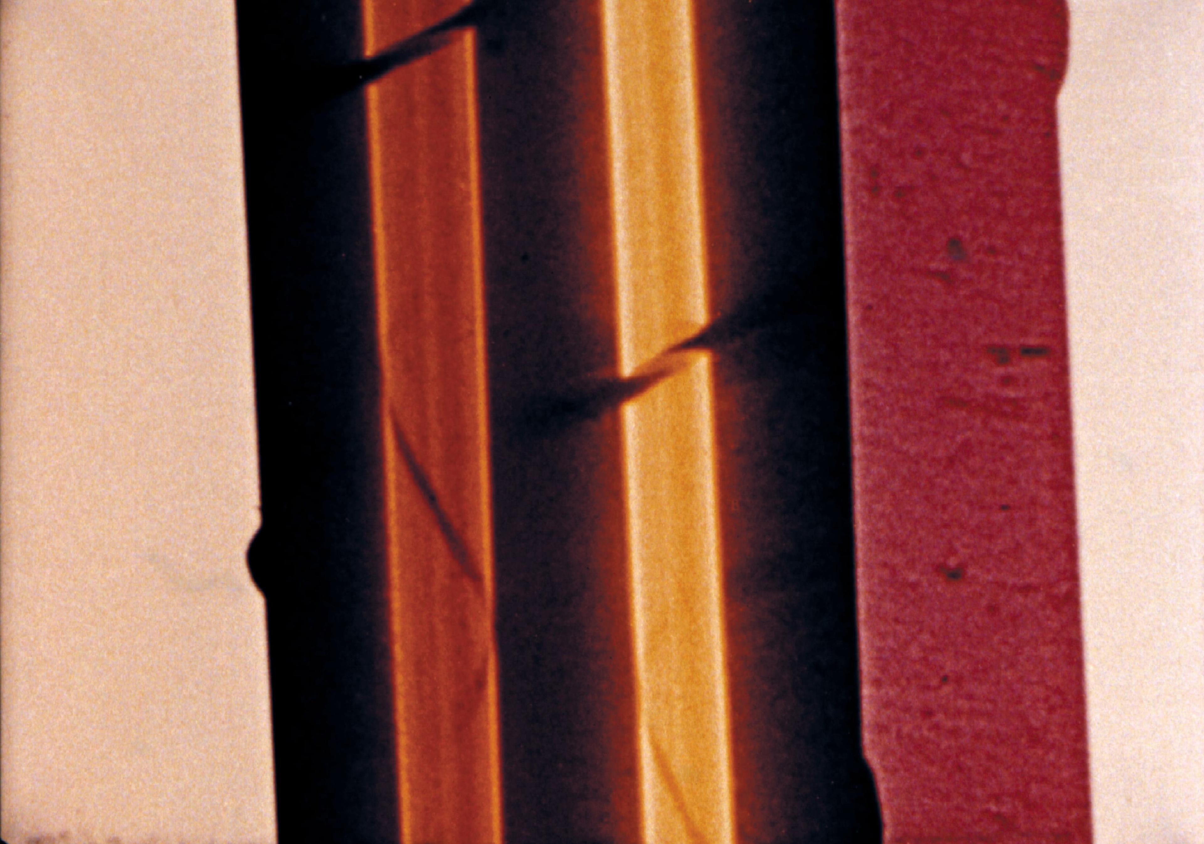 Len Lye, film still from Color Cry, 1952. 16mm transferred to digital video, colour, sound, 3mins. Music: Fox Chase by Sonny Terry. From material preserved and made available by the New Zealand Film Archive Ngā Kaitiaki O Ngā Taonga Whitiāhua. Courtesy of the Len Lye Foundation.