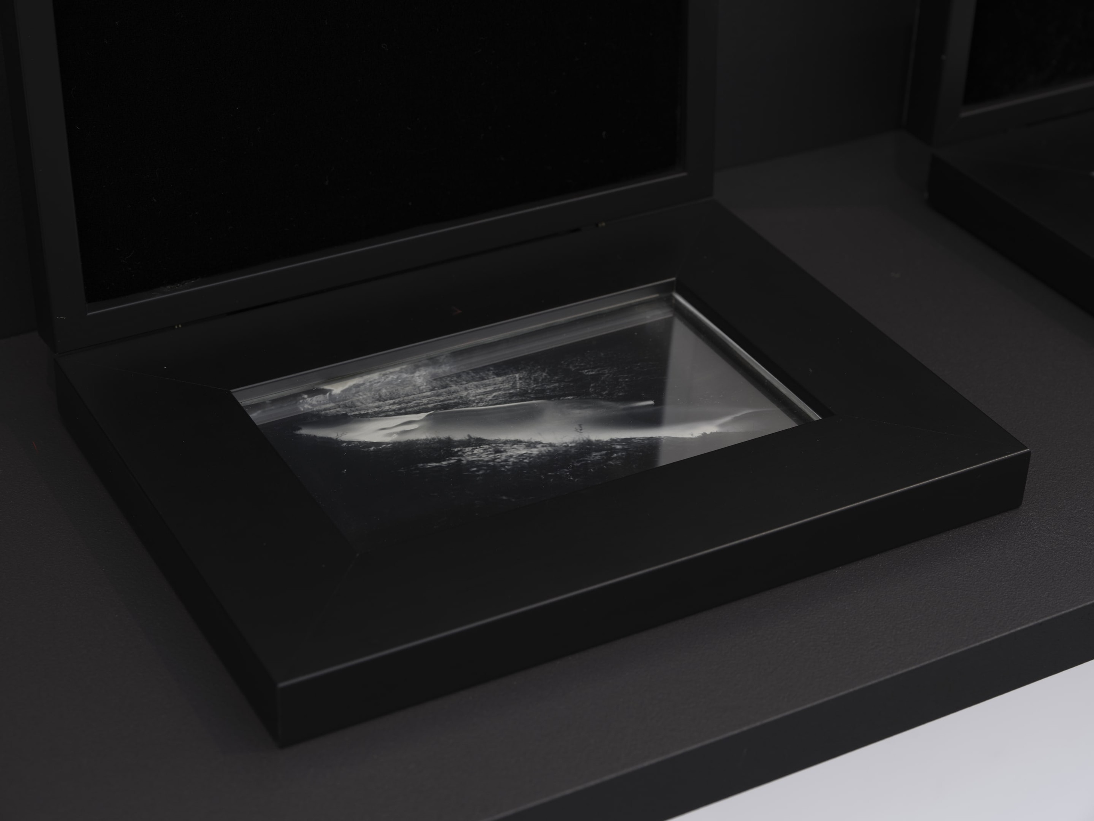 Joyce Campbell On the Last Afternoon installation image Te Uru