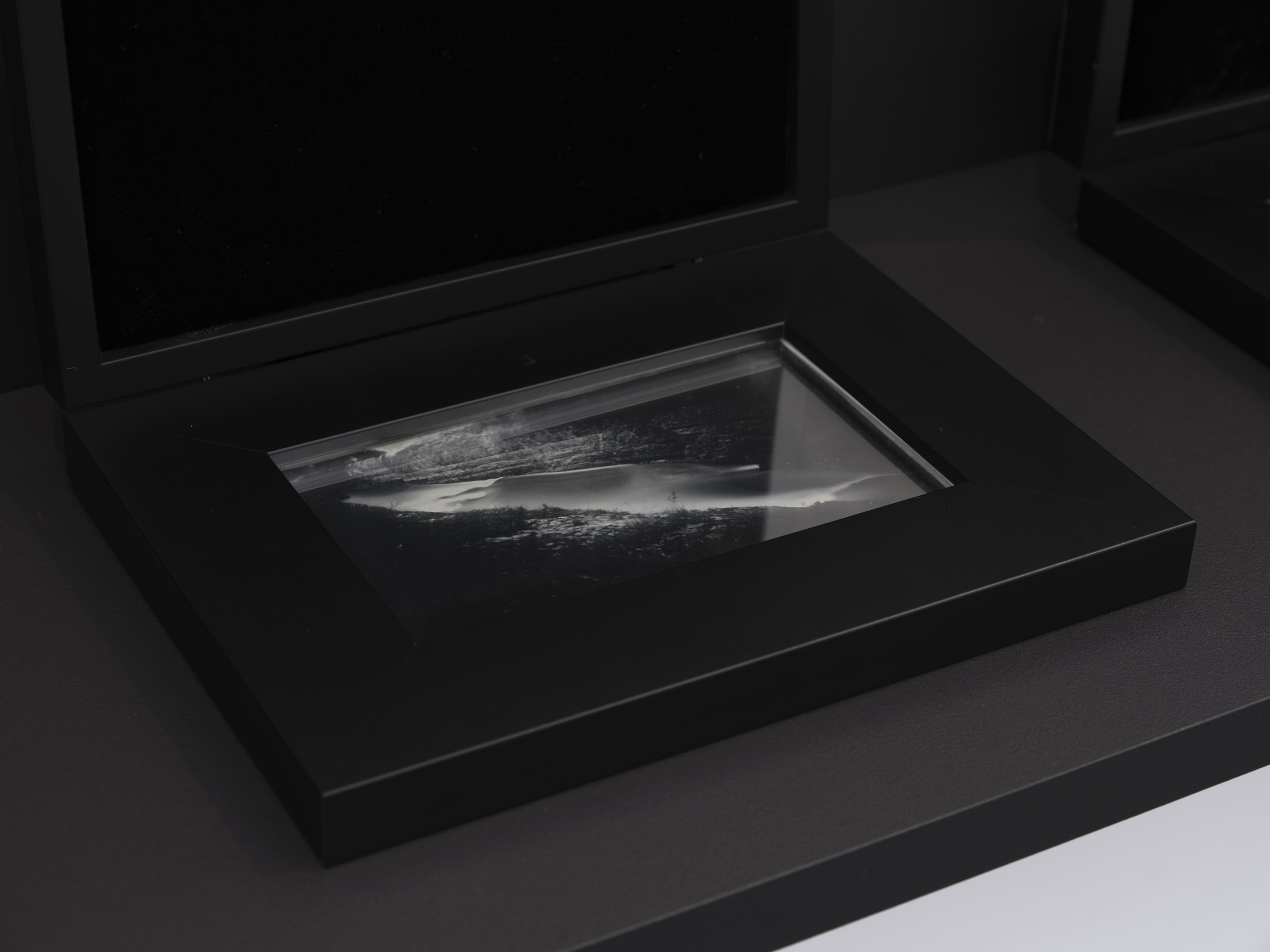 Joyce Campbell On the Last Afternoon installation image Te Uru