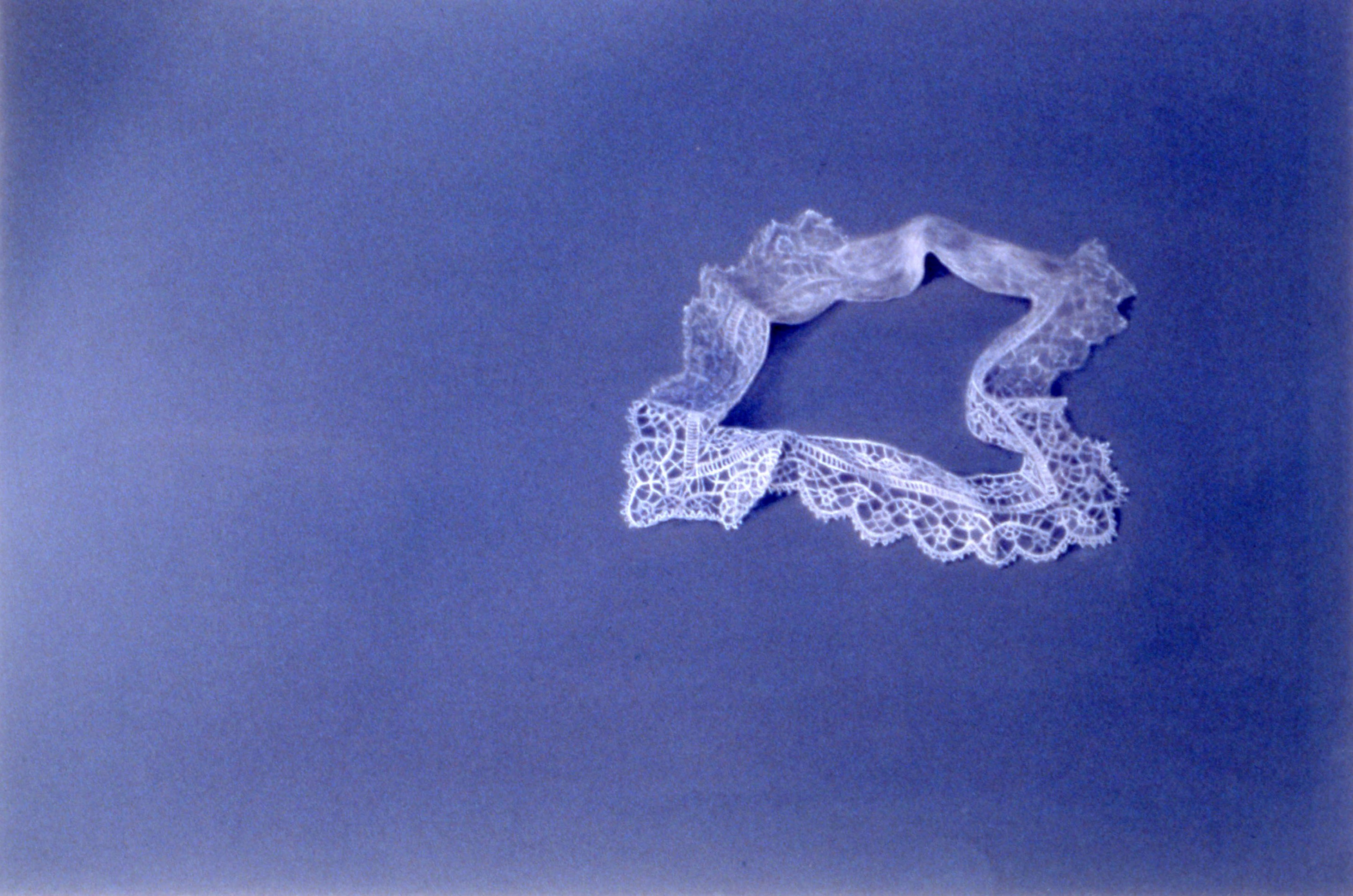 Emily Wolfe, Collar 2, 2000, oil on linen, private collection. Installation view, Alive! Still Life into Twenty First Century, Adam Art Gallery Te Pātaka Toi, Victoria University of Wellington, 2001