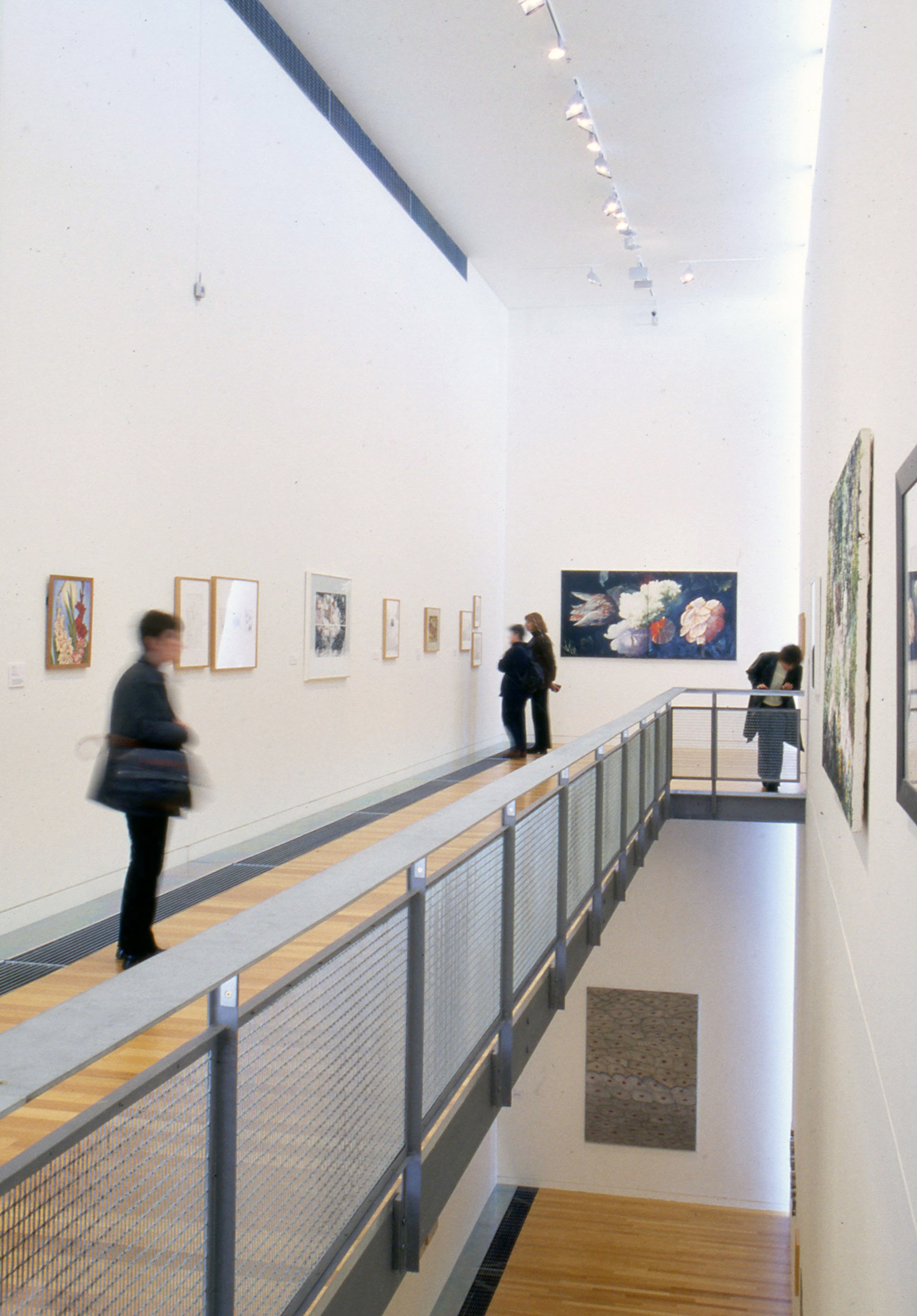 Installation view, Botanica, Adam Art Gallery Te Pātaka Toi, Victoria University of Wellington, 2001