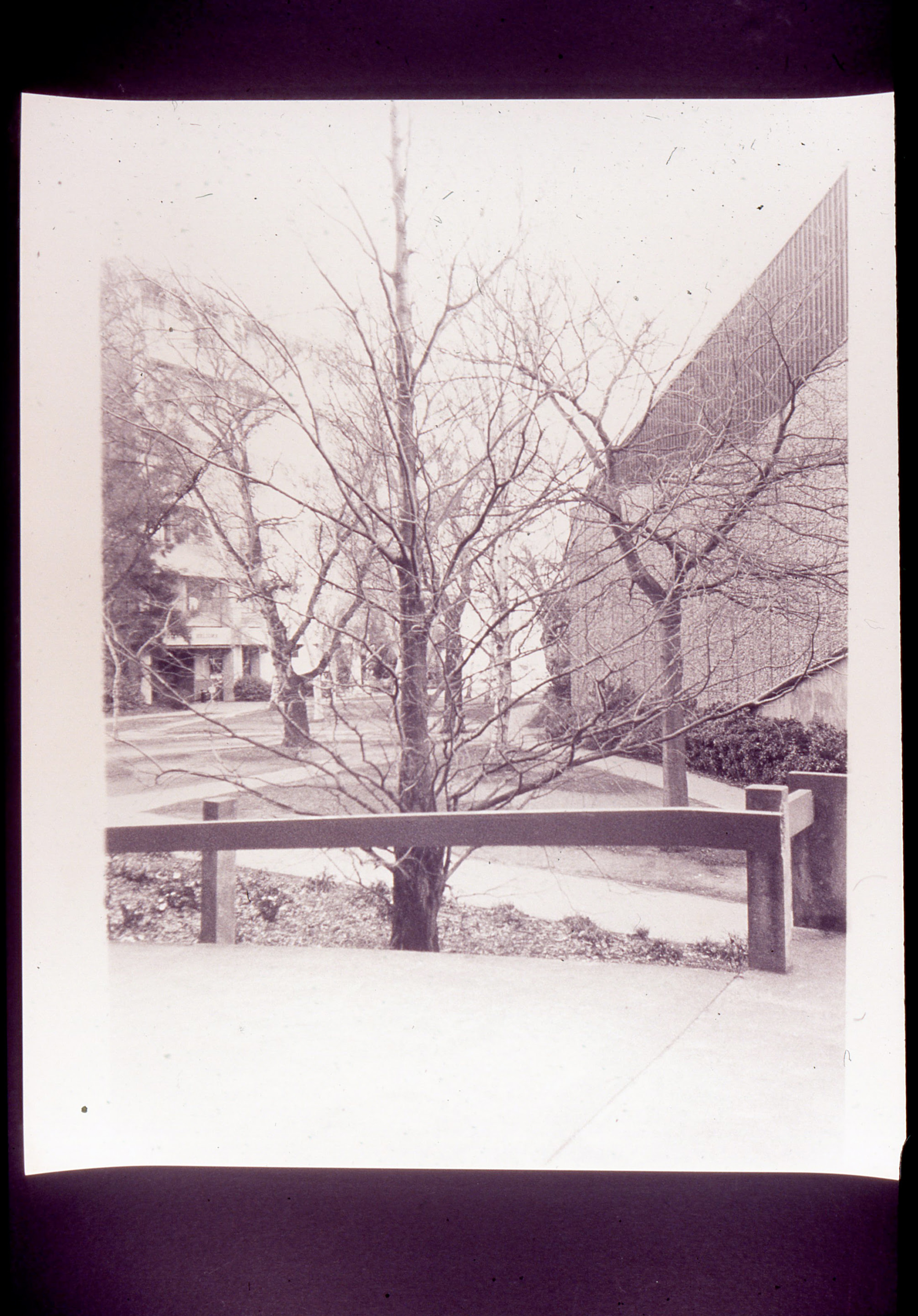 Gavin Hipkins, The Habitat (detail), 1999-2000, 72 black and white photographs, 510 x 660mm each. Courtesy of the artist