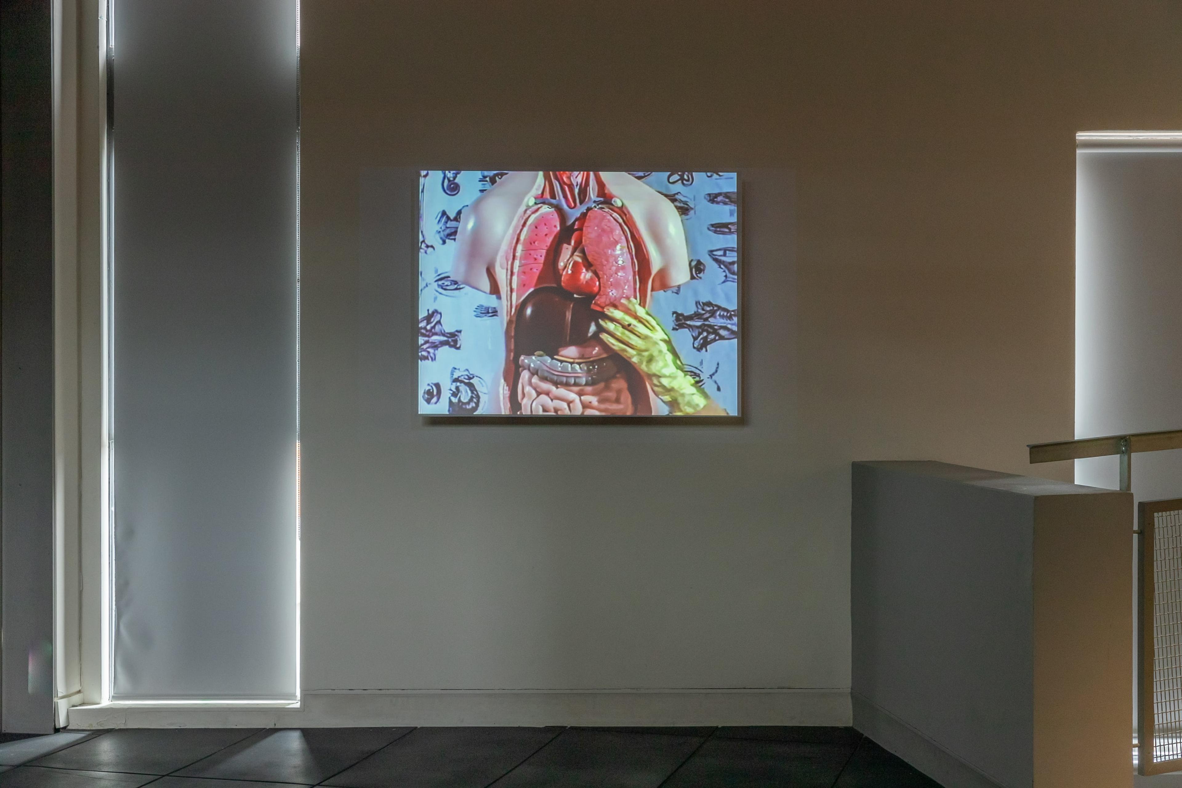 Lisa Reihana, Wog Features, 1990, single channel SD 4:3 video, 7:50 mins, colour/sound, courtesy of the artist. Installation view, Image Processors: Artists in the Medium – A Short History 1968–2020 , Te Pātaka Toi Adam Art Gallery, Victoria University of Wellington. Photo by Ted Whitaker.