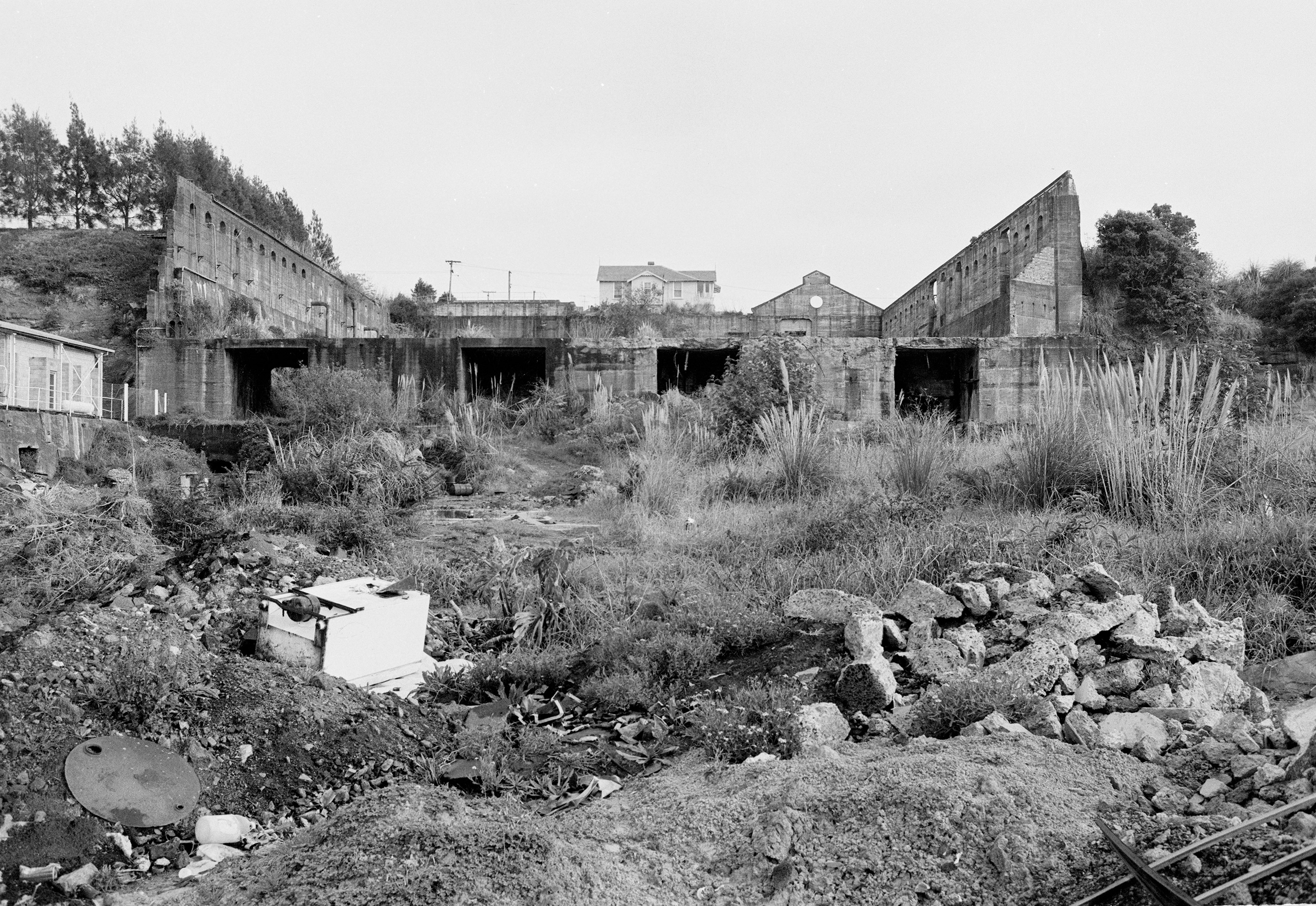 Black & White photograph