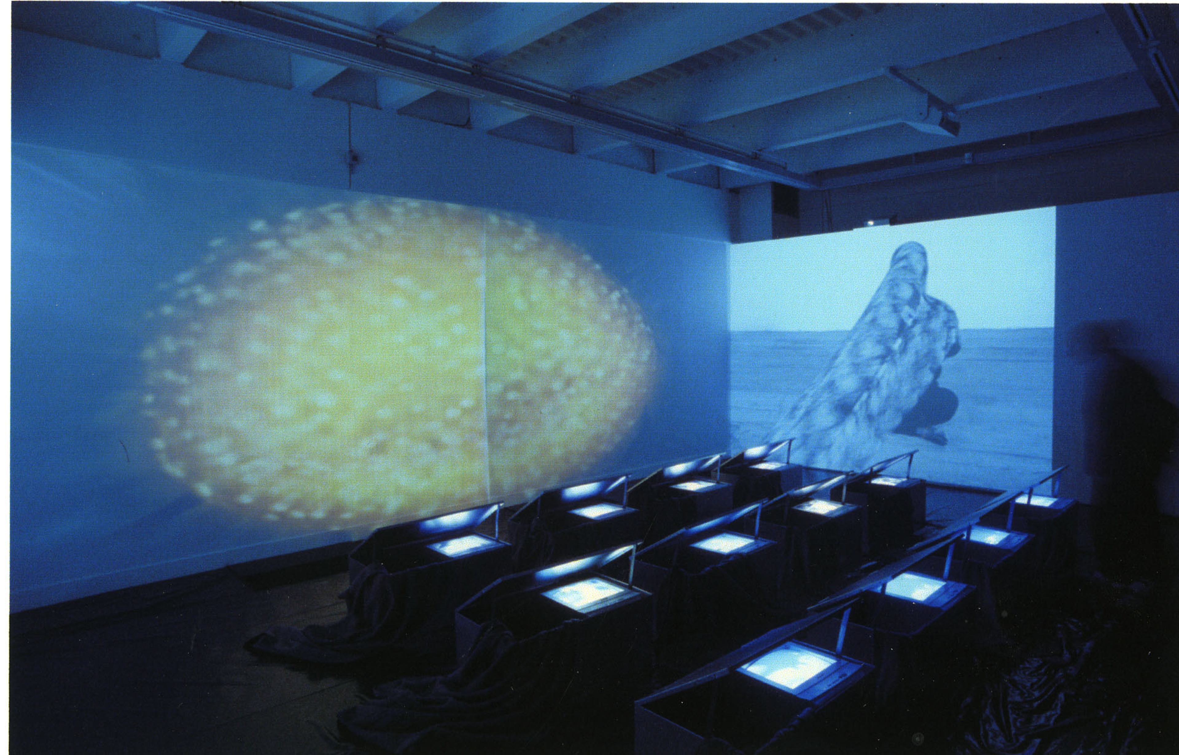 Installation view, Nalini Malani: Remembering Toba Tek Singh, Adam Art Gallery Te Pātaka Toi, Victoria University of Wellington