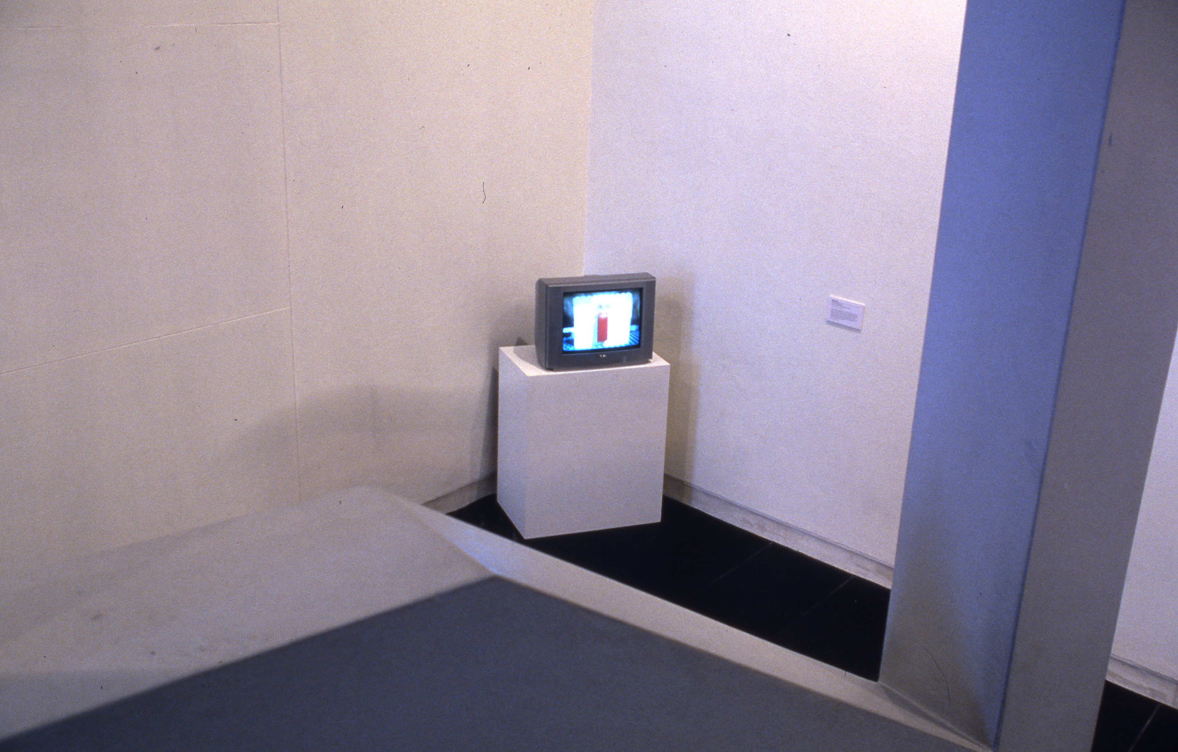 Installation view, Dirty Pixels, Adam Art Gallery Te Pātaka Toi, Victoria University of Wellington, 2003