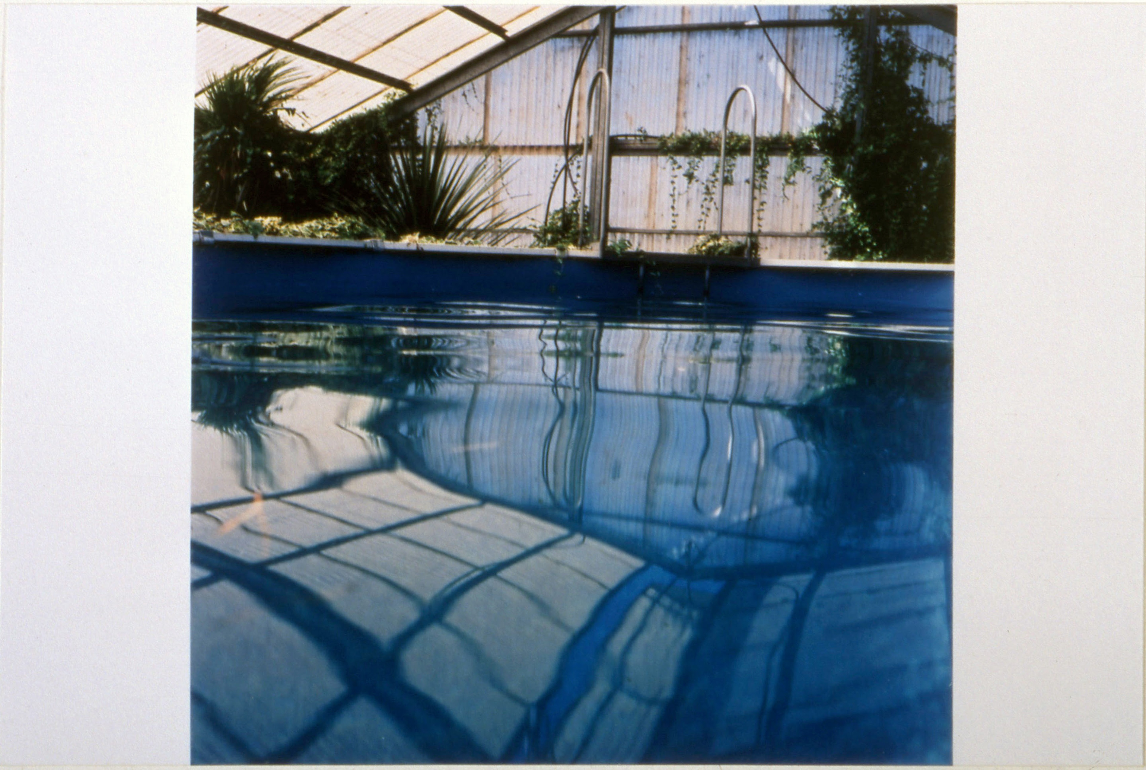 Maddie Leach, Untitled 1 (detail), 2001, digital print and colour photograph, 5950 x 4200mm and 210 x 310mm. Courtesy of the artist
