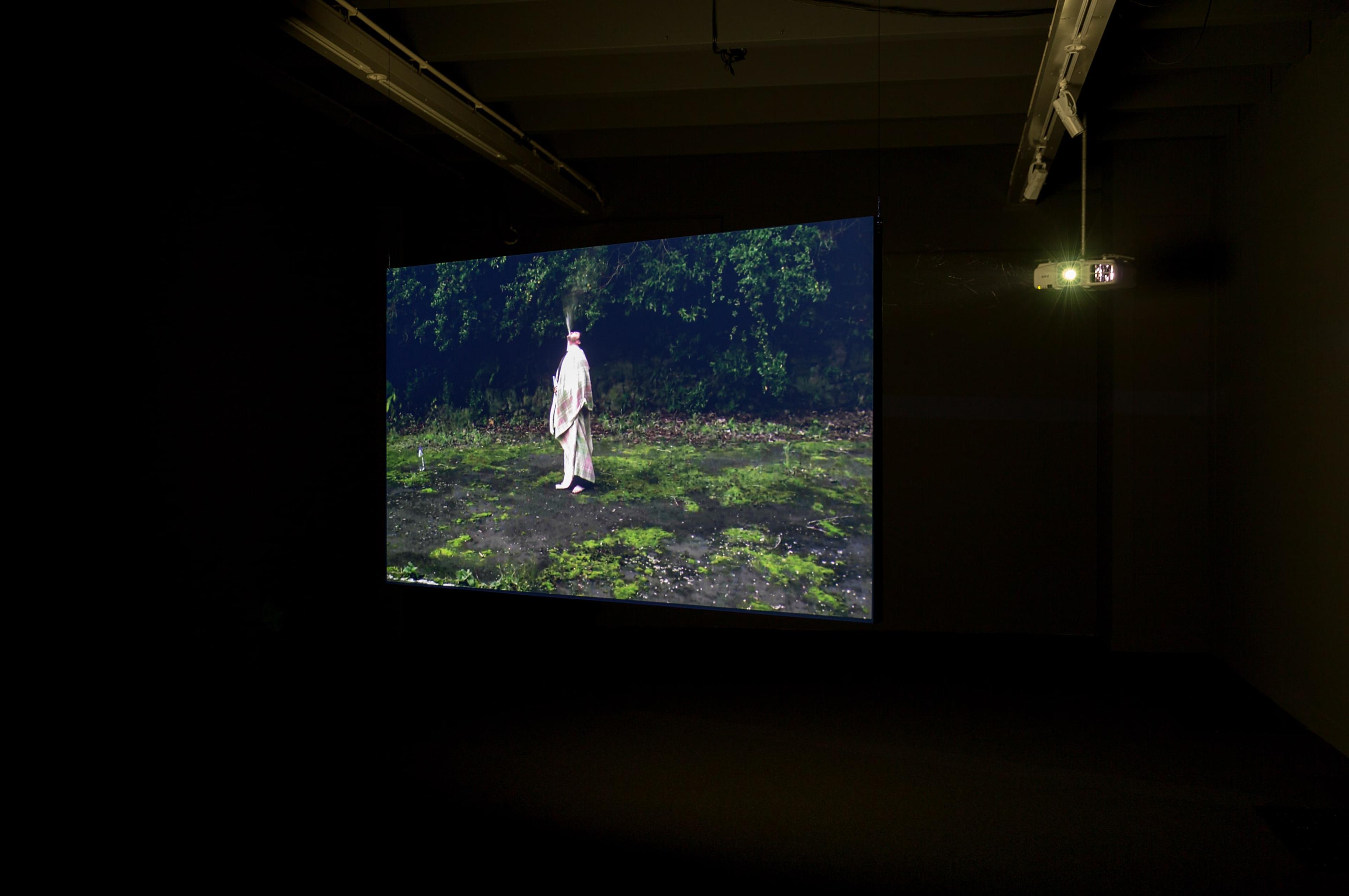 Installation view at the Adam Art Gallery, Shannon Te Ao,Follow the Party of the Whale, , 2013, two-channel video, sound, colour, 12:51mins, 2:49mins (cinematography by Iain Frengley) © Shannon Te Ao (photo: Shaun Waugh)