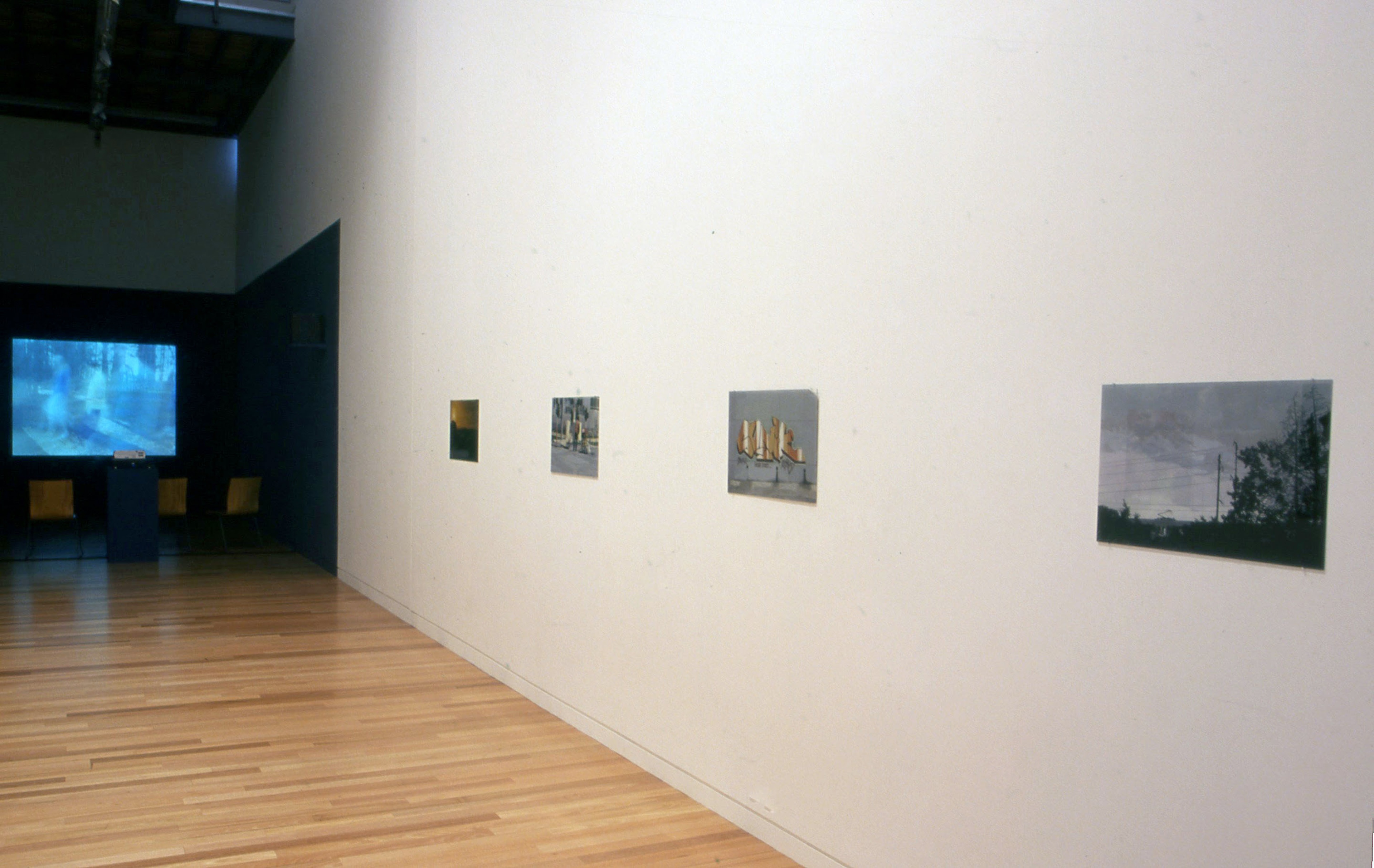 Installation view, Happiness, Adam Art Gallery Te Pātaka Toi, Victoria University of Wellington, 2001