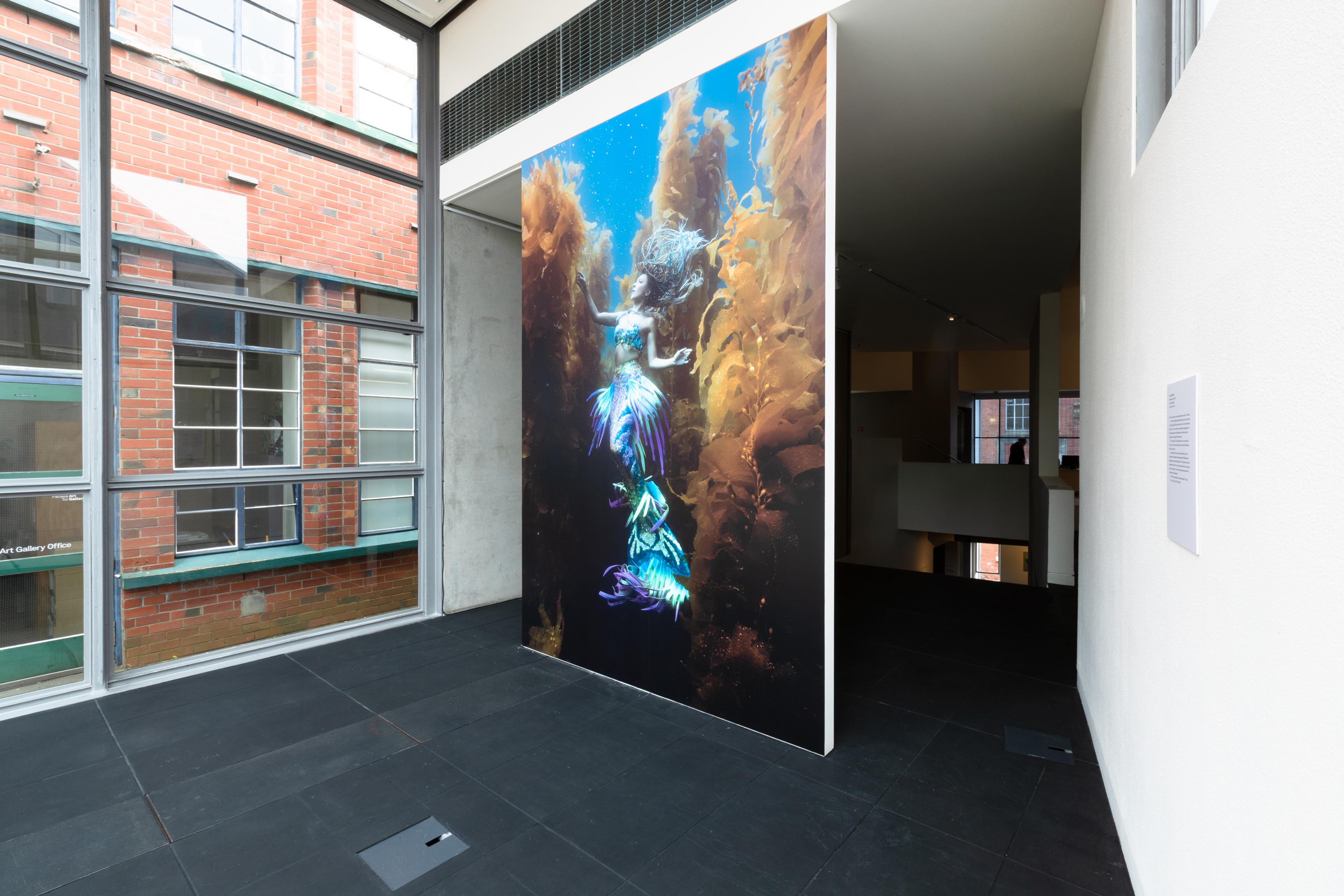 Brett Stanley, Hannah in the Kelp, 2020, colour digital print. Installation view, Megan Dunn: The Mermaid Chronicles, Te Pātaka Toi Adam Art Gallery, Te Herenga Waka Victoria University of Wellington, 2022. Photo: Ted Whitaker