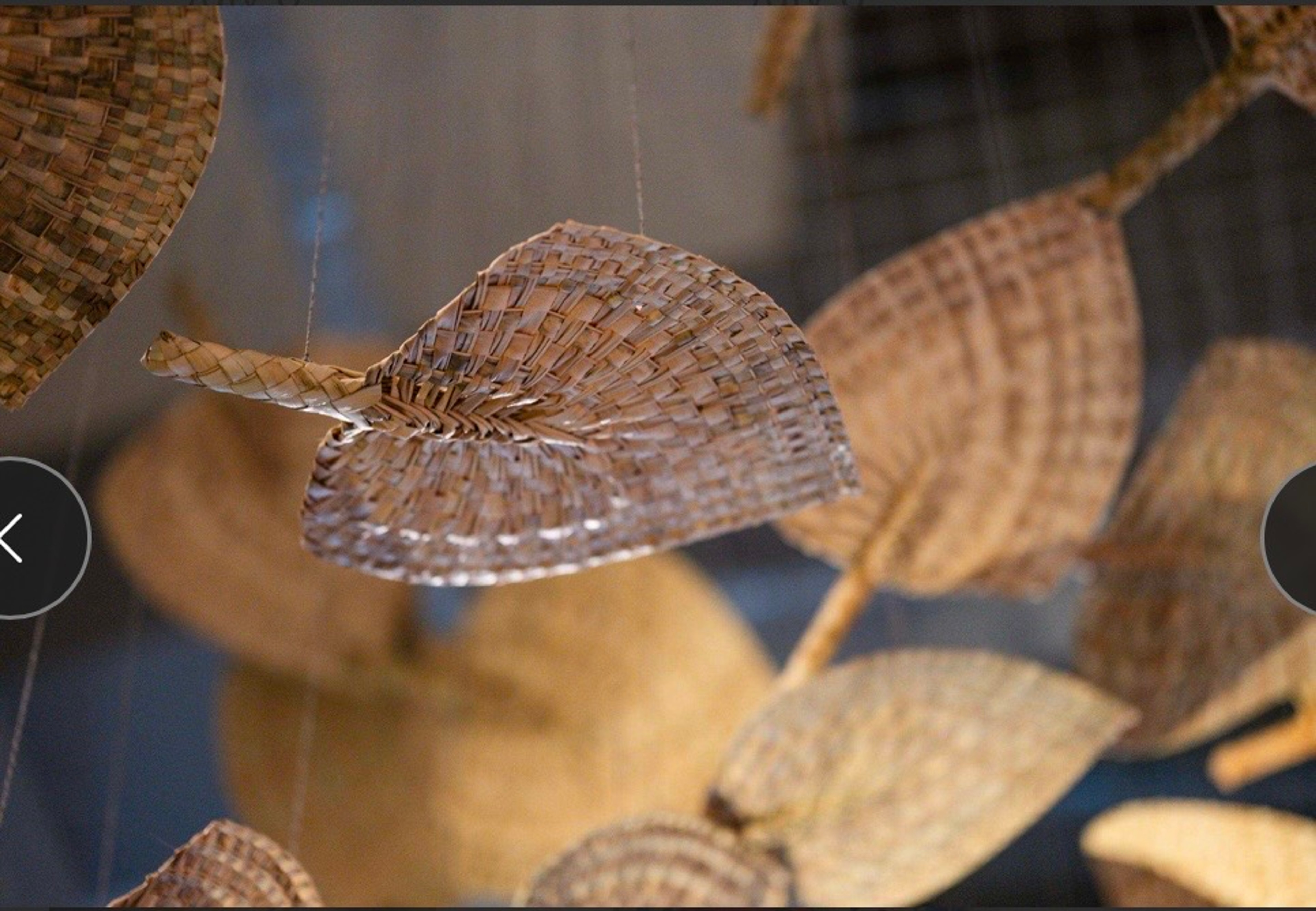 Yuki Kihara, Winds of Change, 2026, installation of 100 pandanus fans handmade by Sāmoa Victim Support Group Nofotane, suspended, dimensions variable, courtesy of the artist. Installation view, Not a solitary feeling, Te Pātaka Toi Adam Art Gallery, Te Herenga Waka—Victoria University of Wellington, 2026. Photo: Ted Whitaker, courtesy of Te Pātaka Toi Adam Art Gallery.