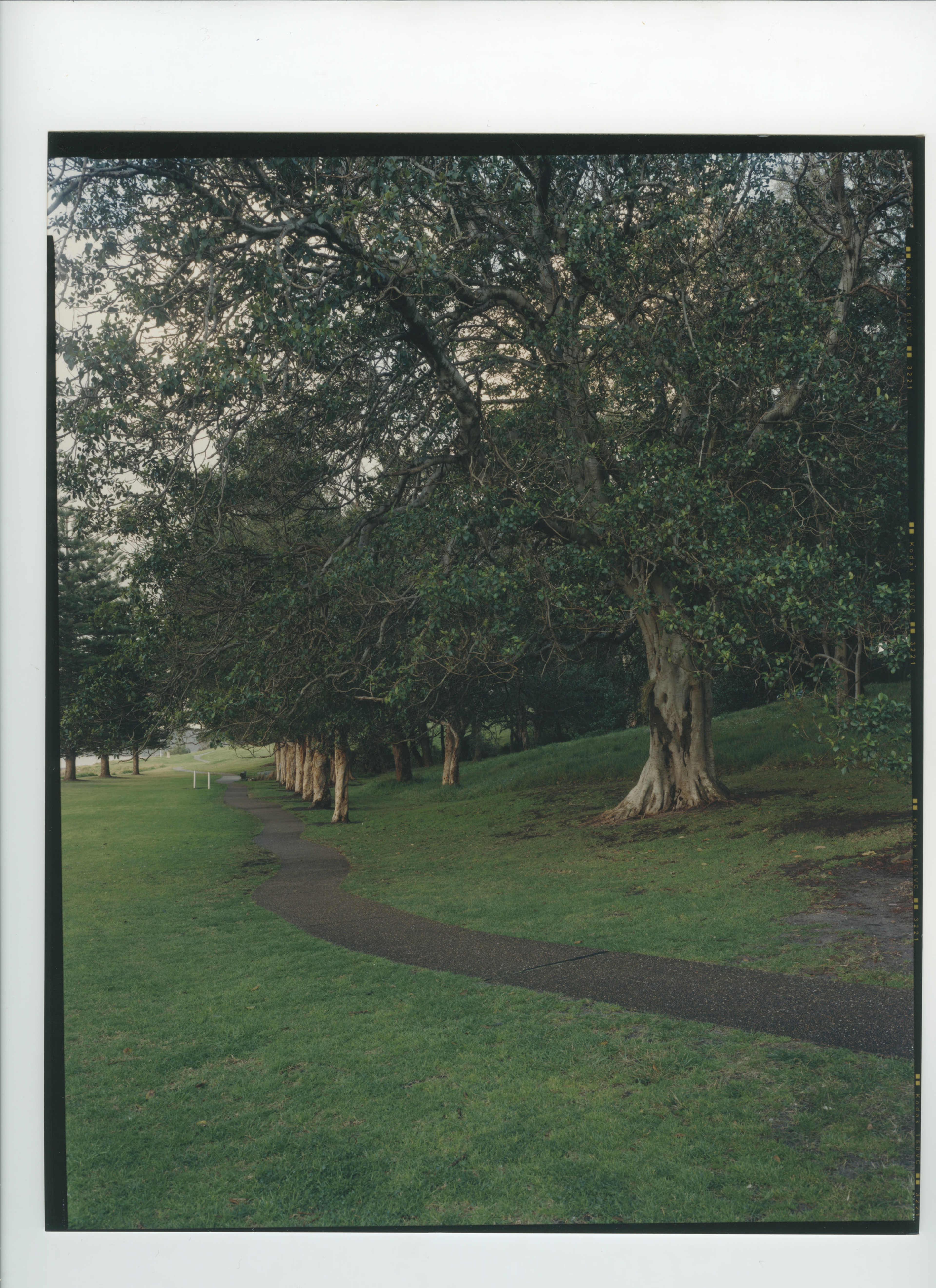 Mark Adams, At the landing place, Kernell, Botany Bay, NSW, Australia, 2003, C-type photograph. Courtesy of the artist