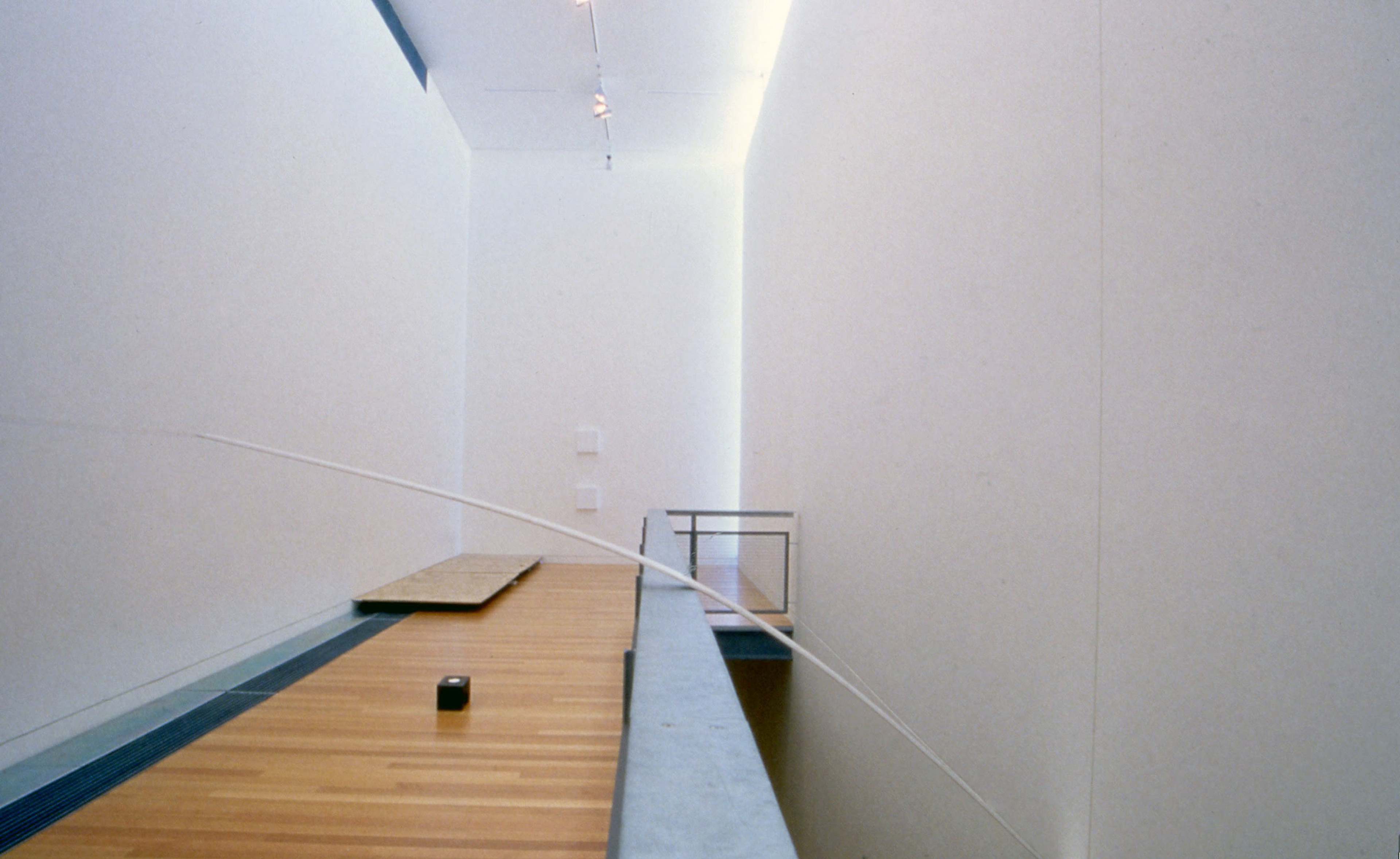 Installation view, Fernanda Gomes in Lights and Shadows, Adam Art Gallery Te Pātaka Toi, Victoria University of Wellington, 2002