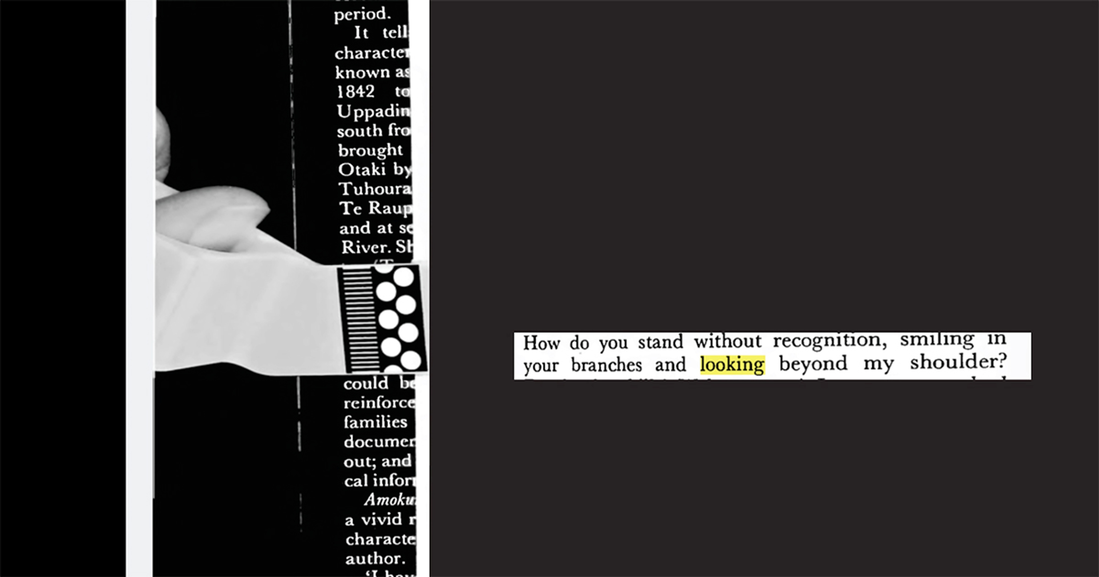 Ana Iti, 'A dusty handrail on the track'