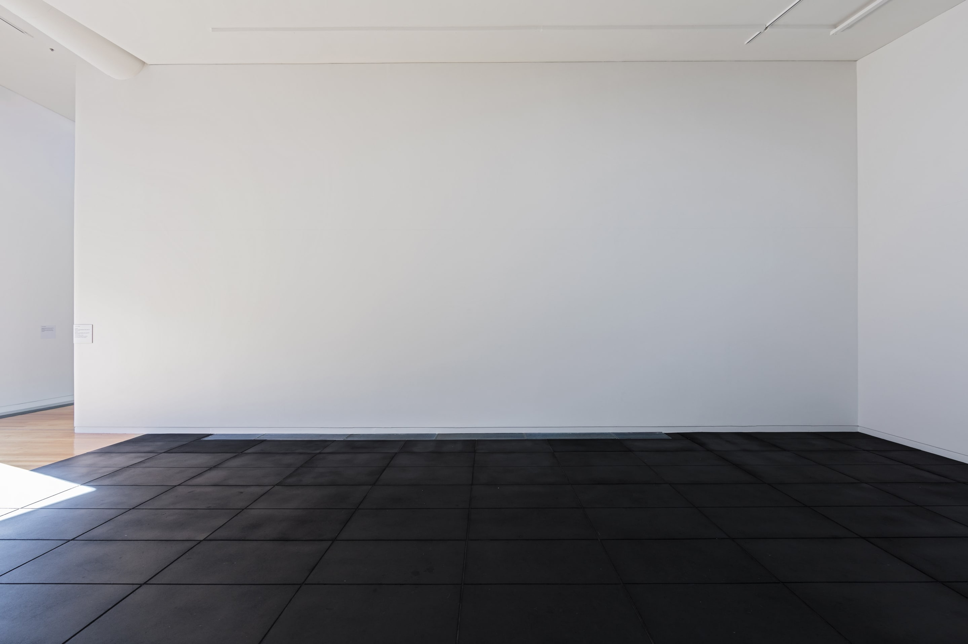 Installation view of Julian Dashper, Untitled (Black: for Fred Sandback, 2001–08) 2016, editions #2–10, black coloured pencil on wall, and Untitled (Blue: for Fred Sandback, 2001–08) 2016, editions #2–10, blue coloured pencil on wall. Courtesy of the Estate of Julian Daspher and Michael Lett, Auckland. In the exhibition Inhabiting Space at the Adam Art Gallery Te Pātaka Toi, Victoria University of Wellington (photo: Shaun Waugh)