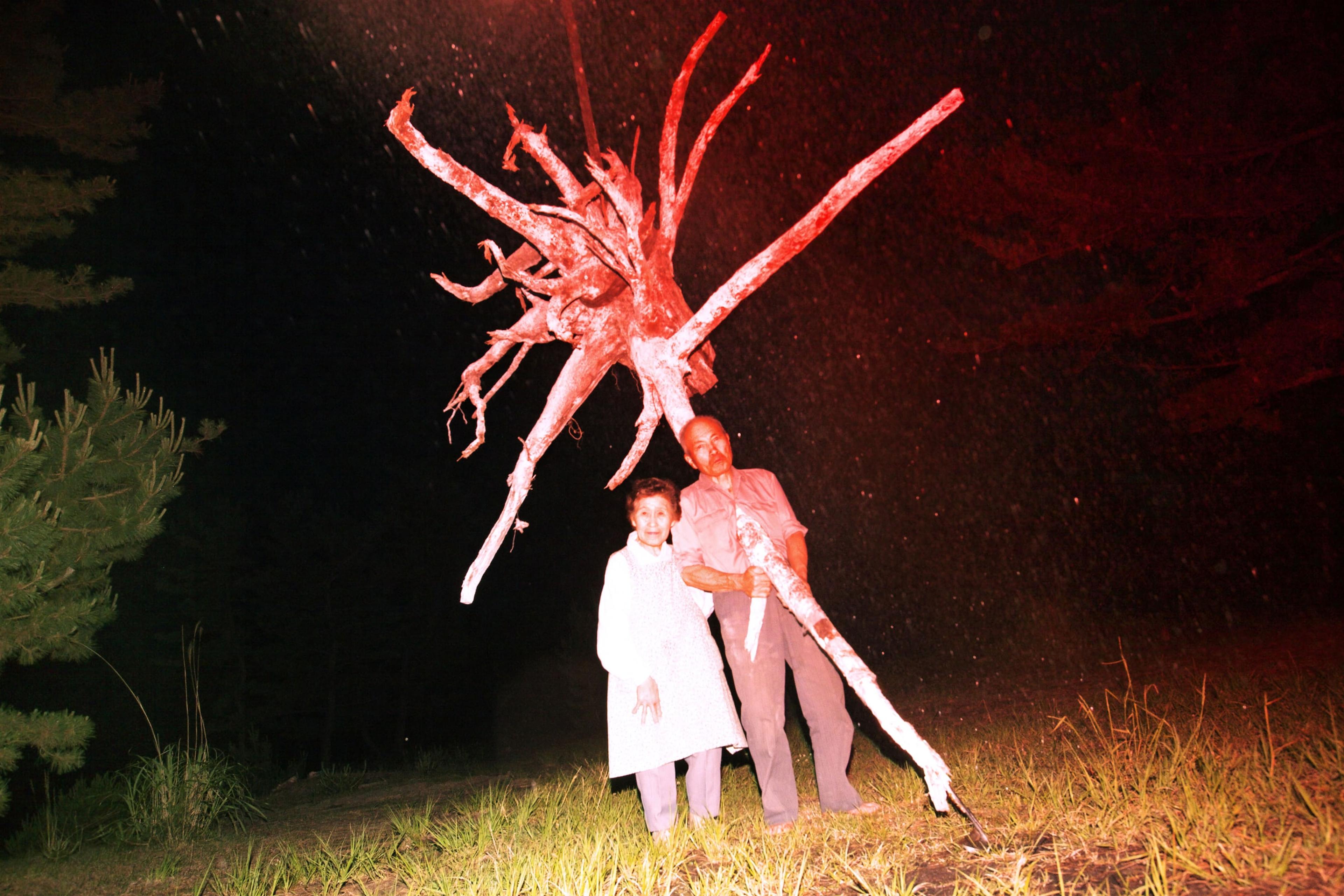Lieko Shiga, Portrait of Cultivation from the RASEN KAIGAN series, 2008-2012. Courtesy of the artist.