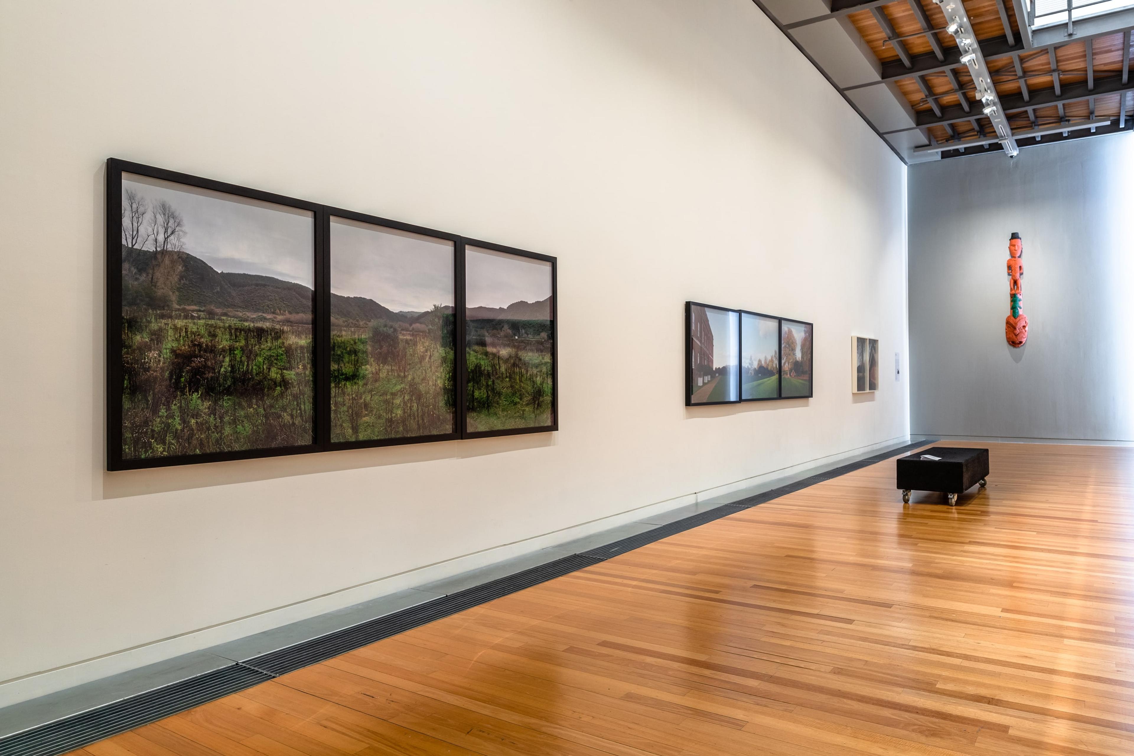 Installation view, Mark Adams, Hinemihi: Te Hokinga-The Return, in Tēnei Ao Tūroa – This Enduring World, Te Pātaka Toi Adam Art Gallery. Photo: Ted Whitaker 