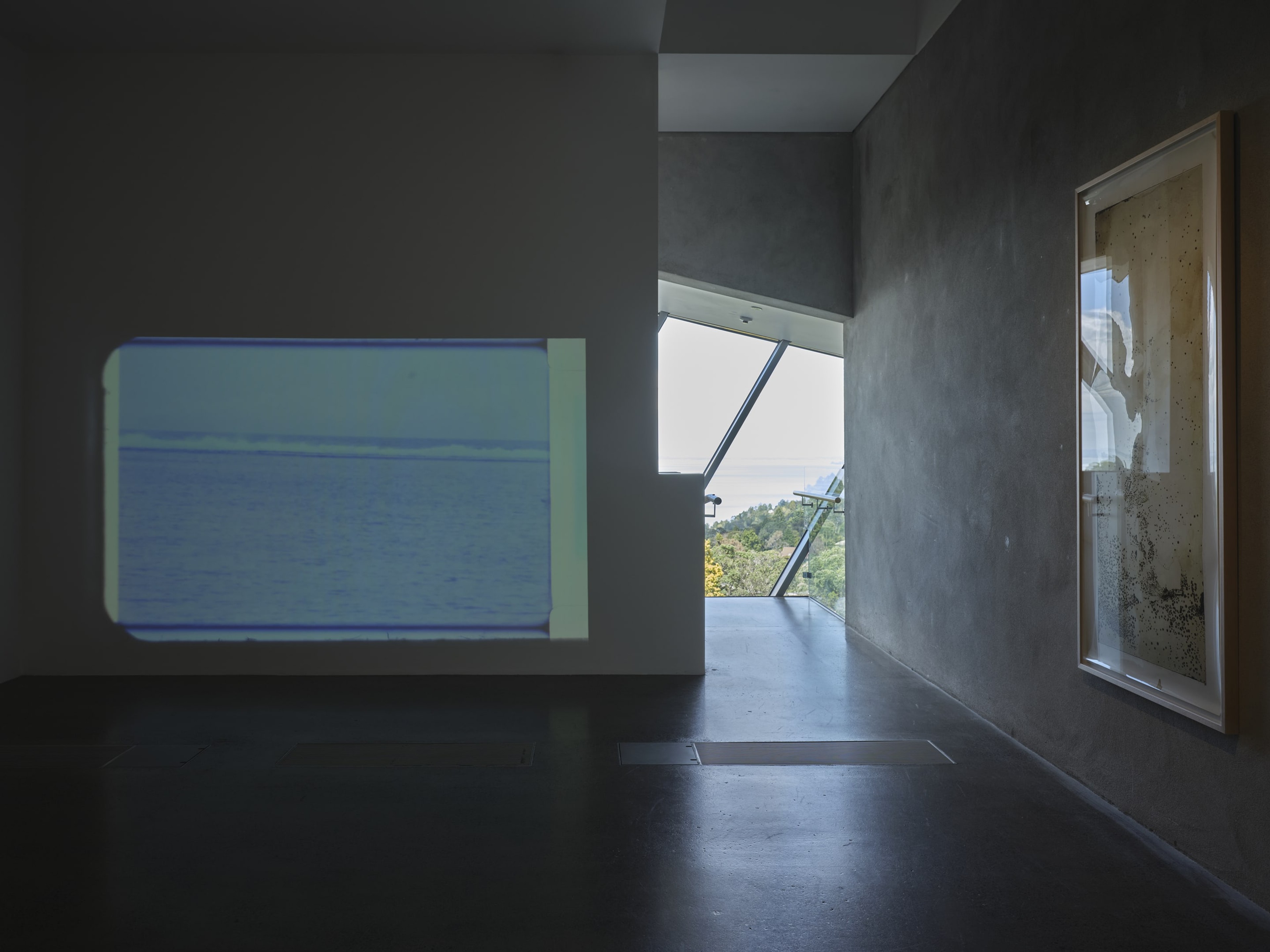 Joyce Campbell On the Last Afternoon installation image Te Uru