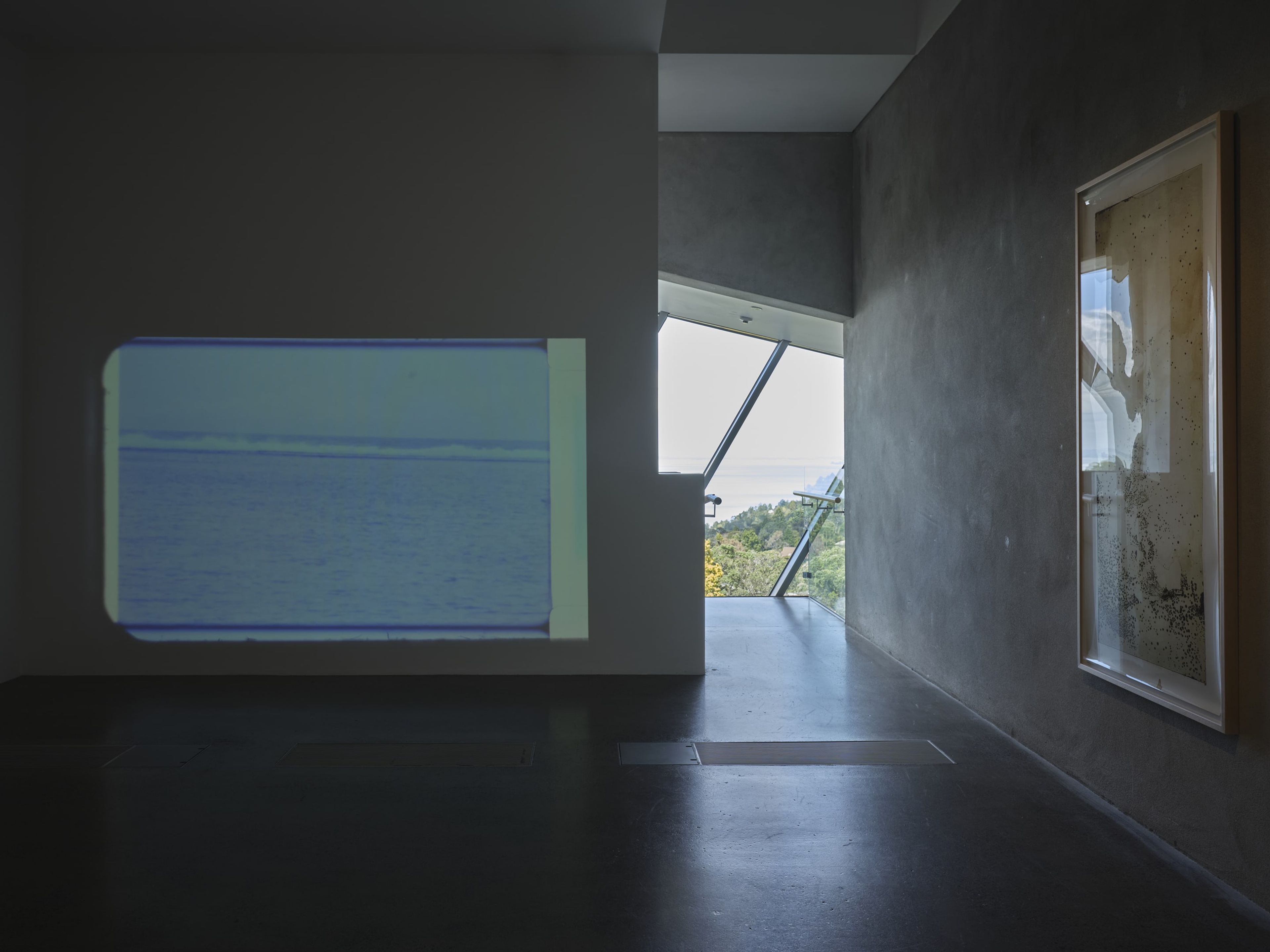 Joyce Campbell On the Last Afternoon installation image Te Uru