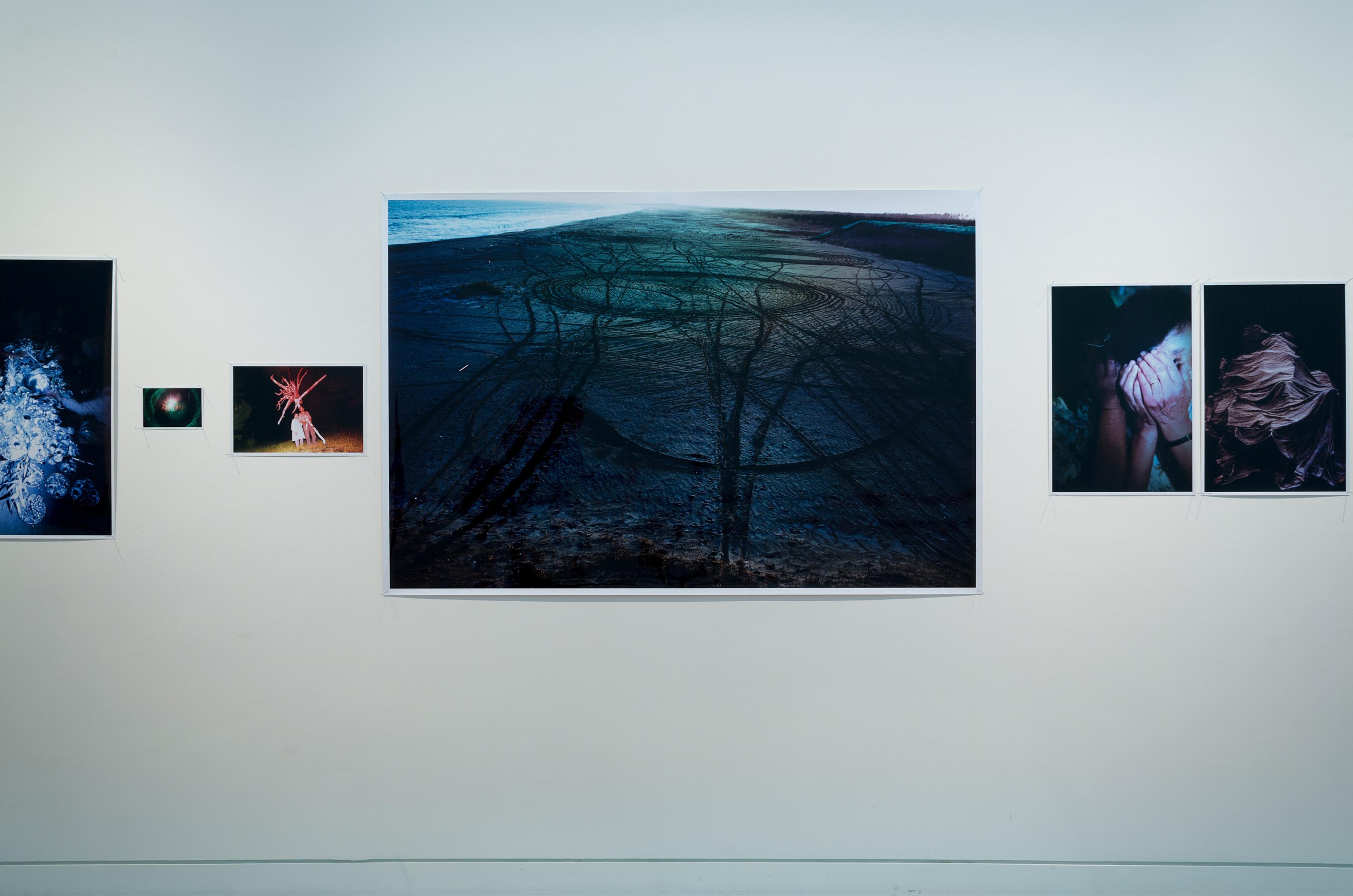 Lieko Shiga, RASEN KAIGAN (2008-2013) at the Adam Art Gallery. Photo: Shaun Waugh.