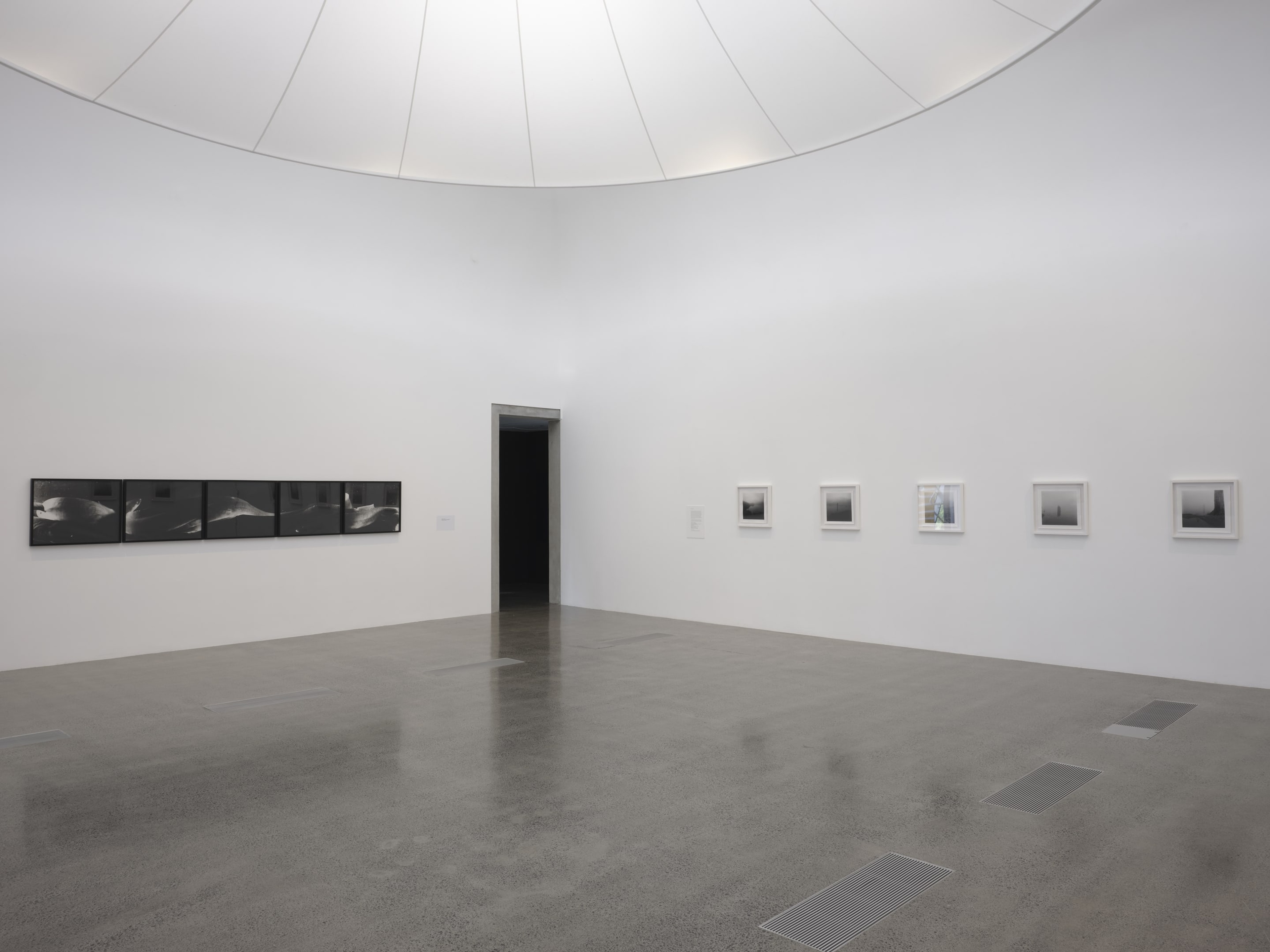 Joyce Campbell On the Last Afternoon installation image Te Uru