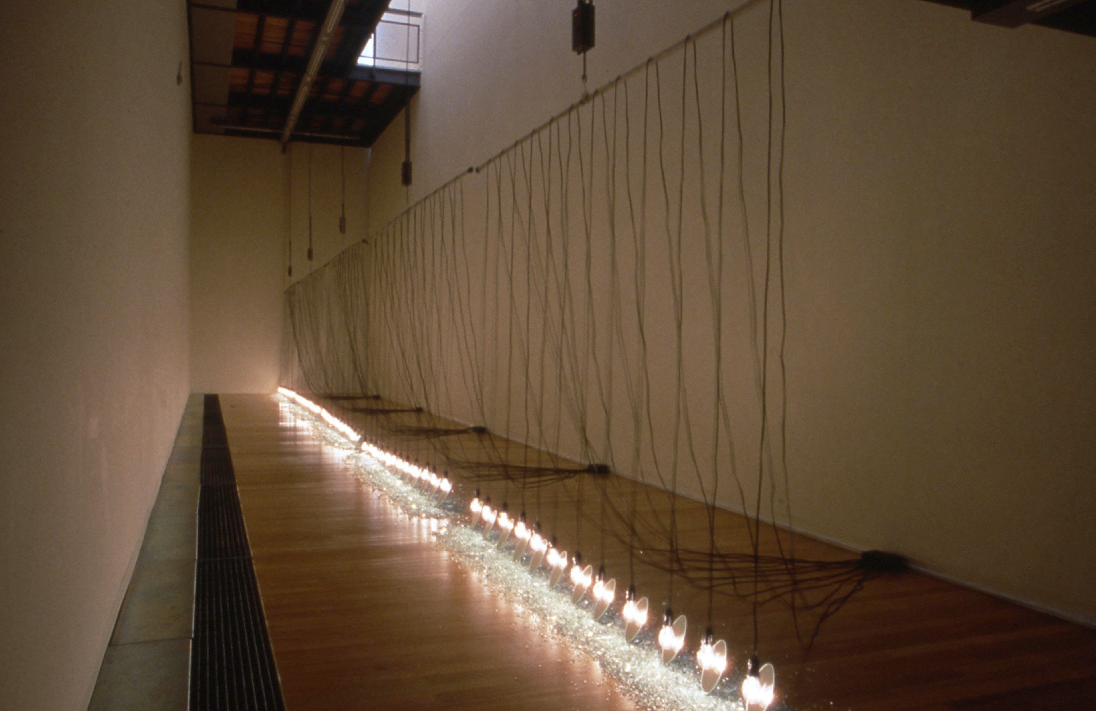 Installation view, Suzann Victor: Expense of Spirit In A Waste of Shame in Lights and Shadows, Adam Art Gallery Te Pātaka Toi, Victoria University of Wellington, 2002