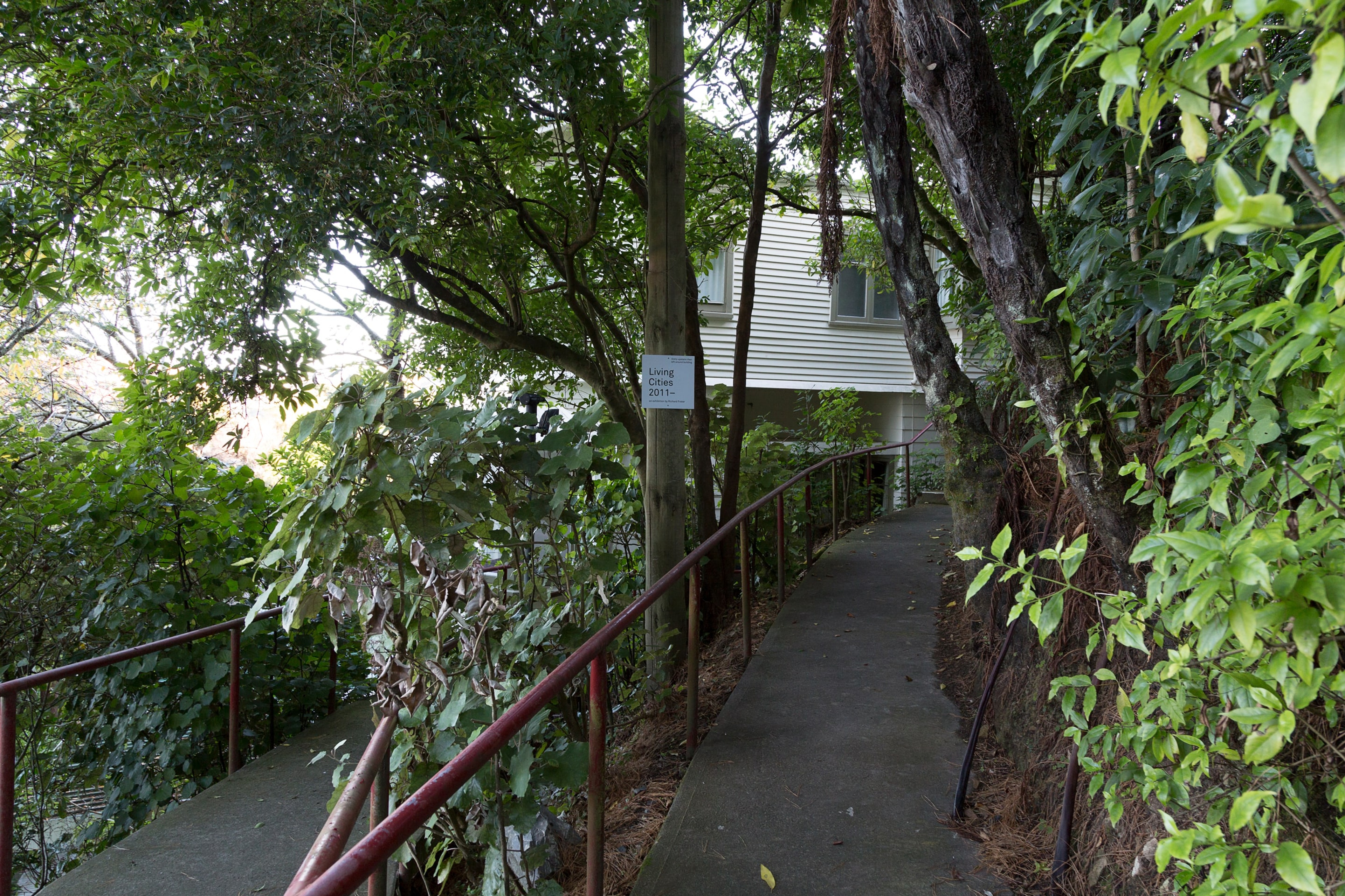 Richard Frater, Living Cities 2011–, 2015, installation view at the Adam Art Gallery, Victoria University of Wellington (photo: Shaun Waugh)