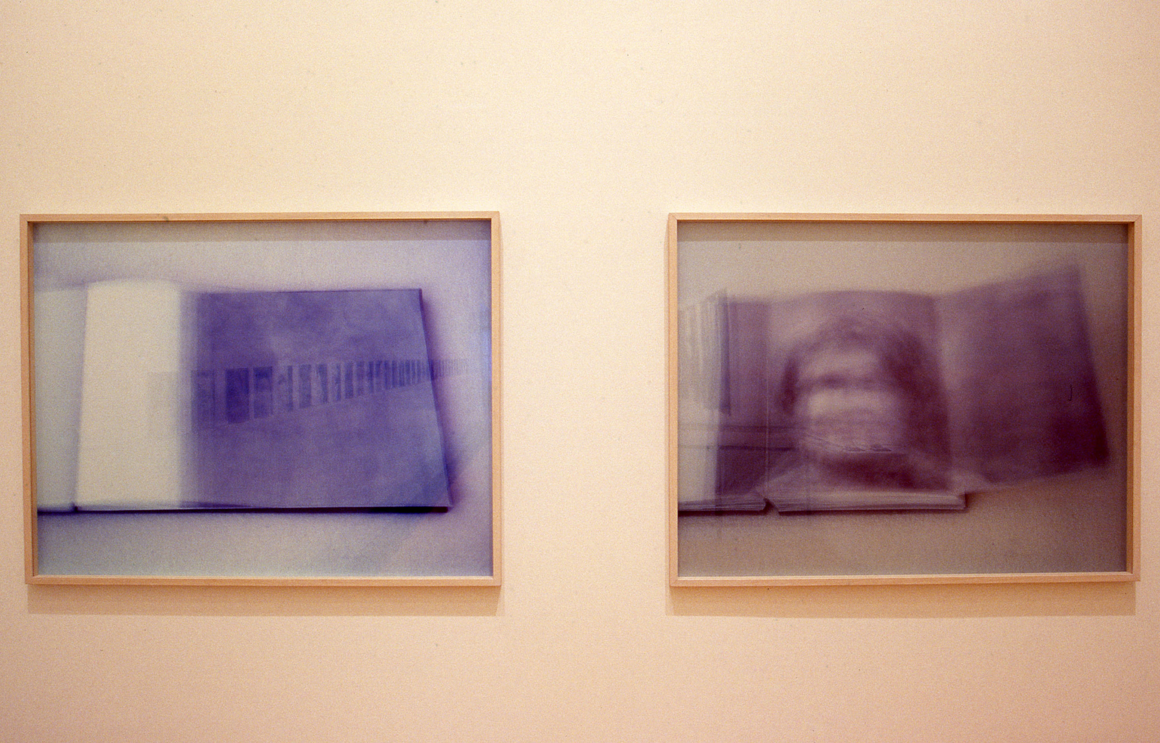 Installation view, Still Present: Exploring Psychiatric Institutions in Photography, Adam Art Gallery Te Pātaka Toi, Victoria University of Wellington, 2005 