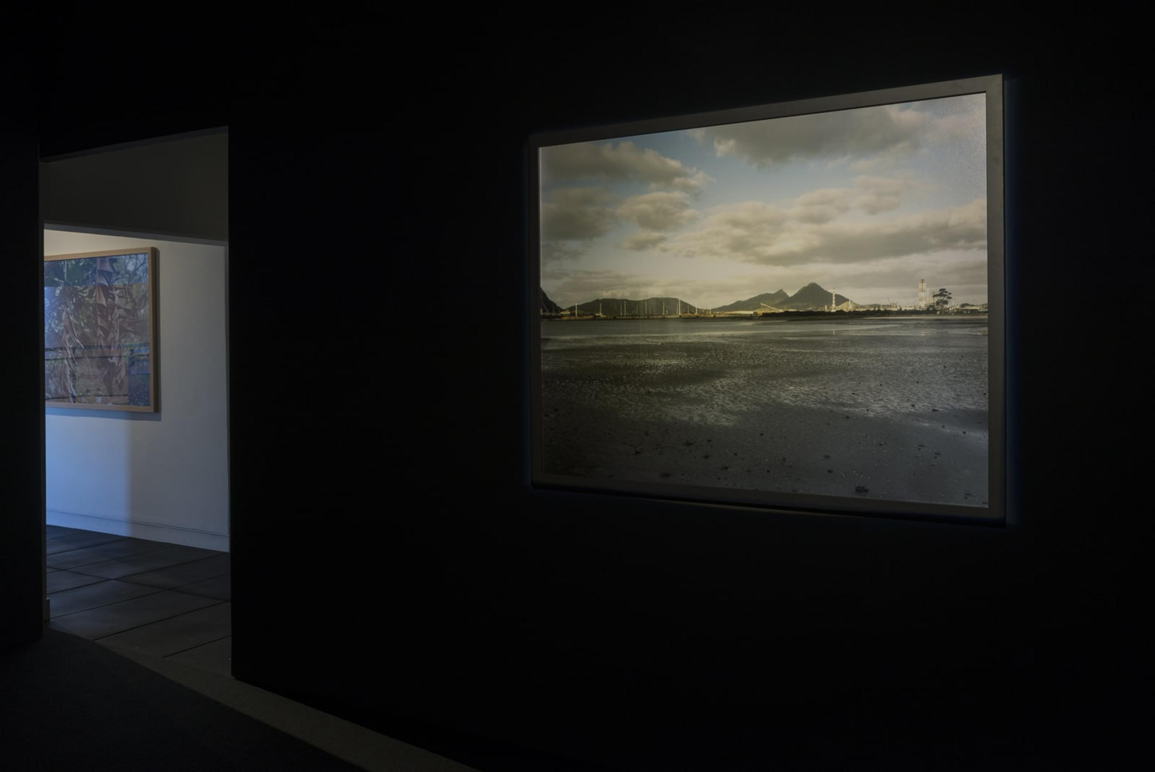 Installation view: Ngahuia Harrison in The earth looks upon us / Ko Papatūānuku te matua o te tangata, curated by Christina Barton, Adam Art Gallery Te Pātaka Toi, Victoria University of Wellington. All works are digital prints, courtesy of the artist. Photo: Shaun Matthews