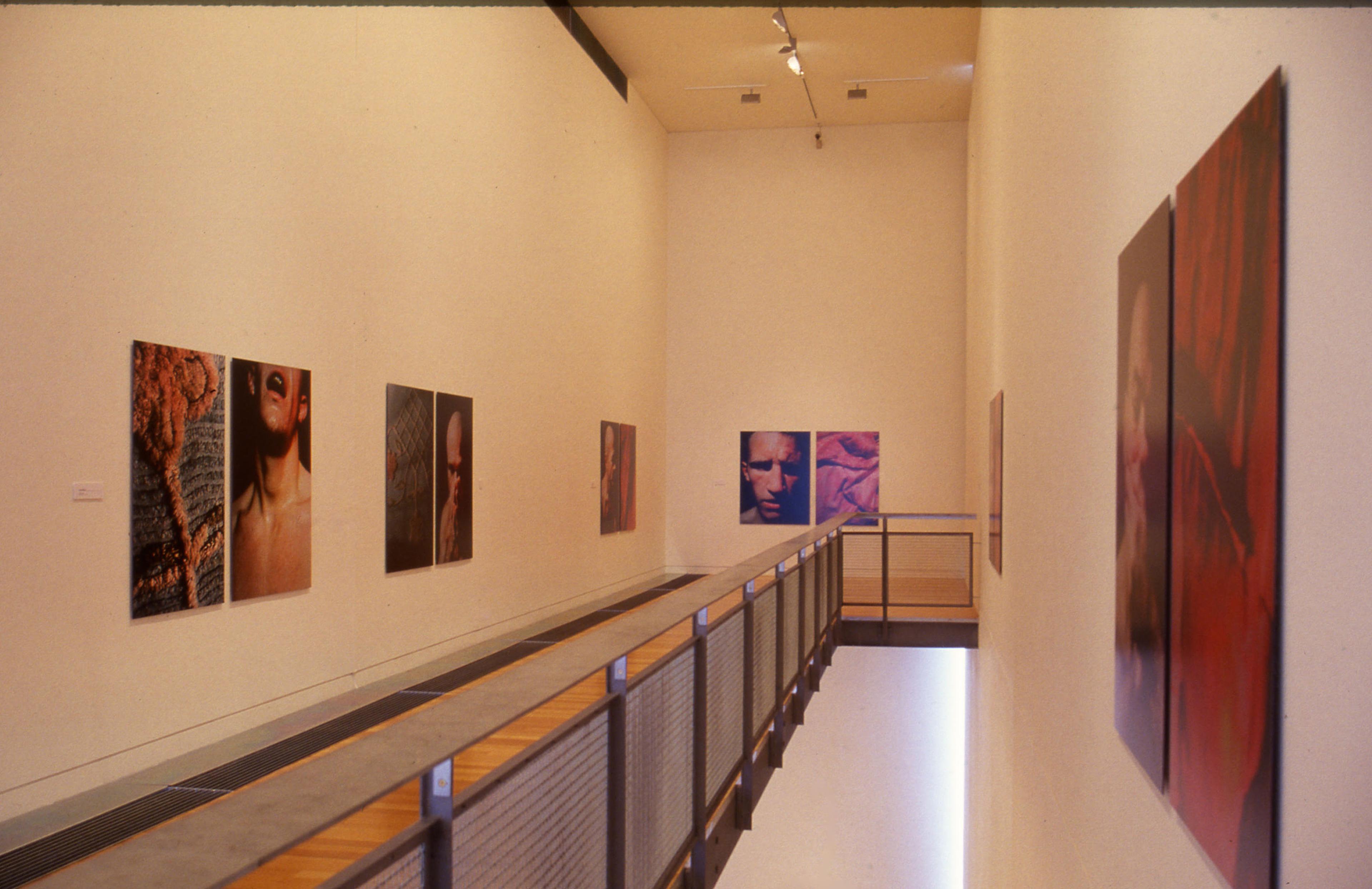 Installation view, Quiet: Recent Photographs by Christine Webster, Adam Art Gallery Te Pātaka Toi, Victoria University of Wellington, 2004