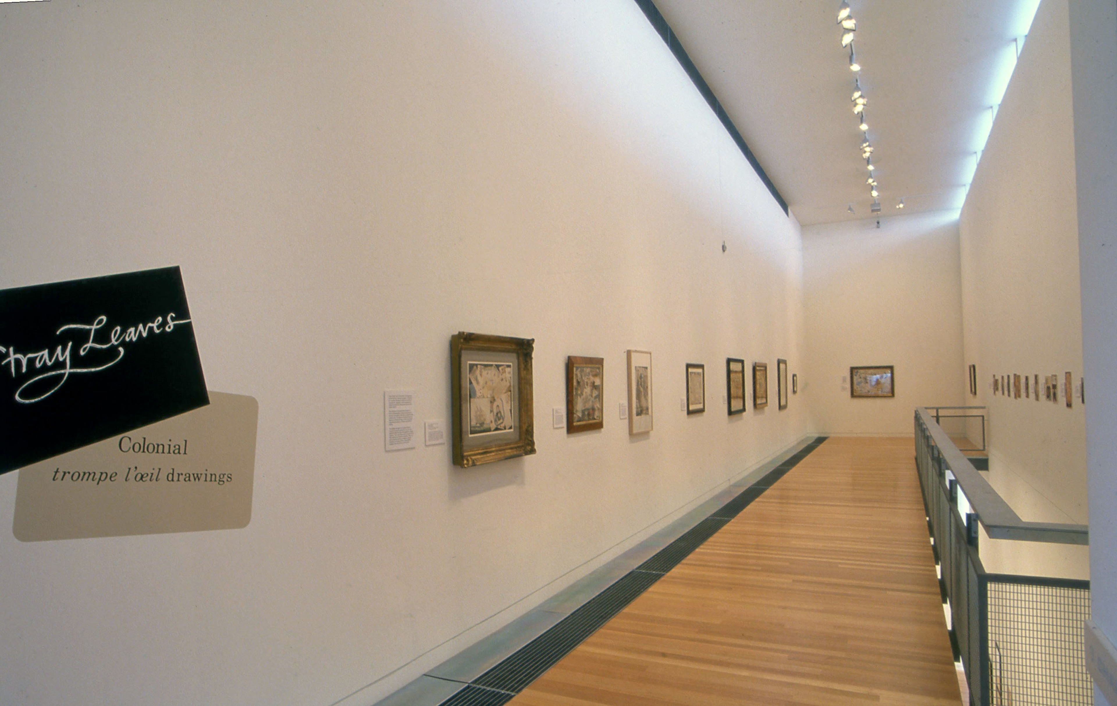 Installation view, Stray Leaves: Colonial Trompe L’oeil Drawings, Adam Art Gallery Te Pātaka Toi, Victoria University of Wellington, 2001