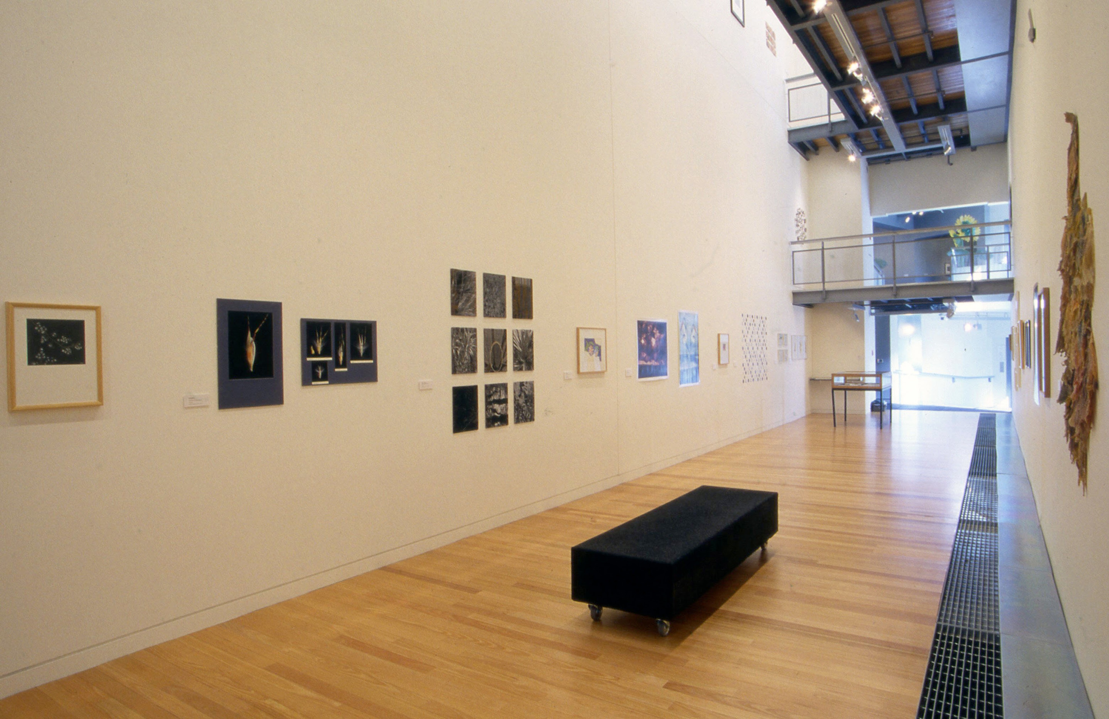 Installation view, Botanica, Adam Art Gallery Te Pātaka Toi, Victoria University of Wellington, 2001