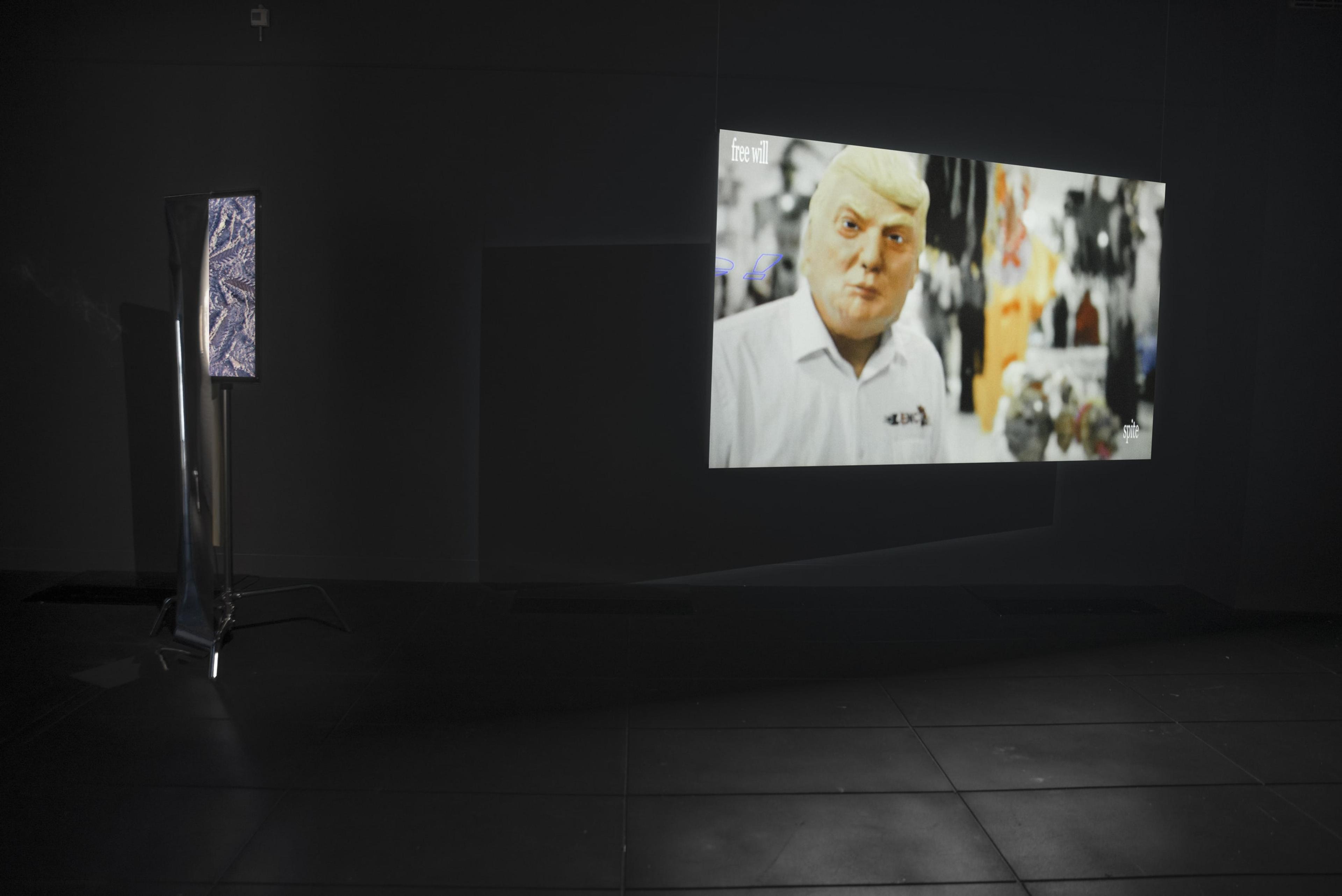 Left: Claudia Dunes & Rainer Weston, of other spaces (arch) , 2017, HD digital video on 32” display, vinyl, dolly, arm bracket. Courtesy of the artists; Right: William Linscott, XCIII, 2016, HD digital video, two-channel sound, 17mins 28secs, Music by Flinn Gendall. Courtesy the artist. On view in the exhibition The Tomorrow People, Adam Art Gallery Te Pātaka Toi, 22 July – 1 October 2017, photo: Shaun Matthews