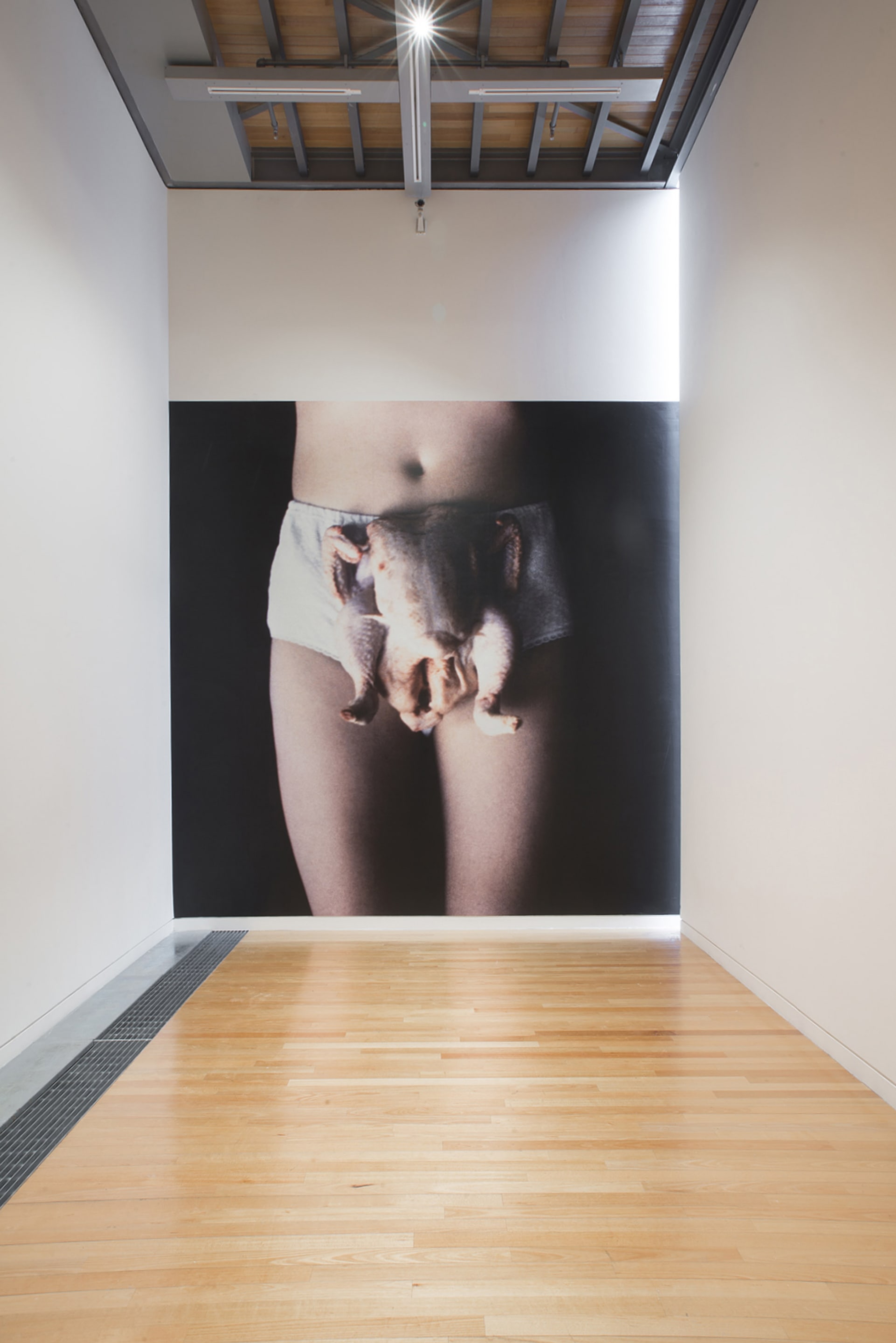 Sarah Lucas, Chicken knickers, 2017, PVC-free wallpaper print, Courtesy of Sadie Coles HQ, London, on view in Acting Out at Adam Art Gallery Te Pātaka Toi, photo: Shaun Matthews