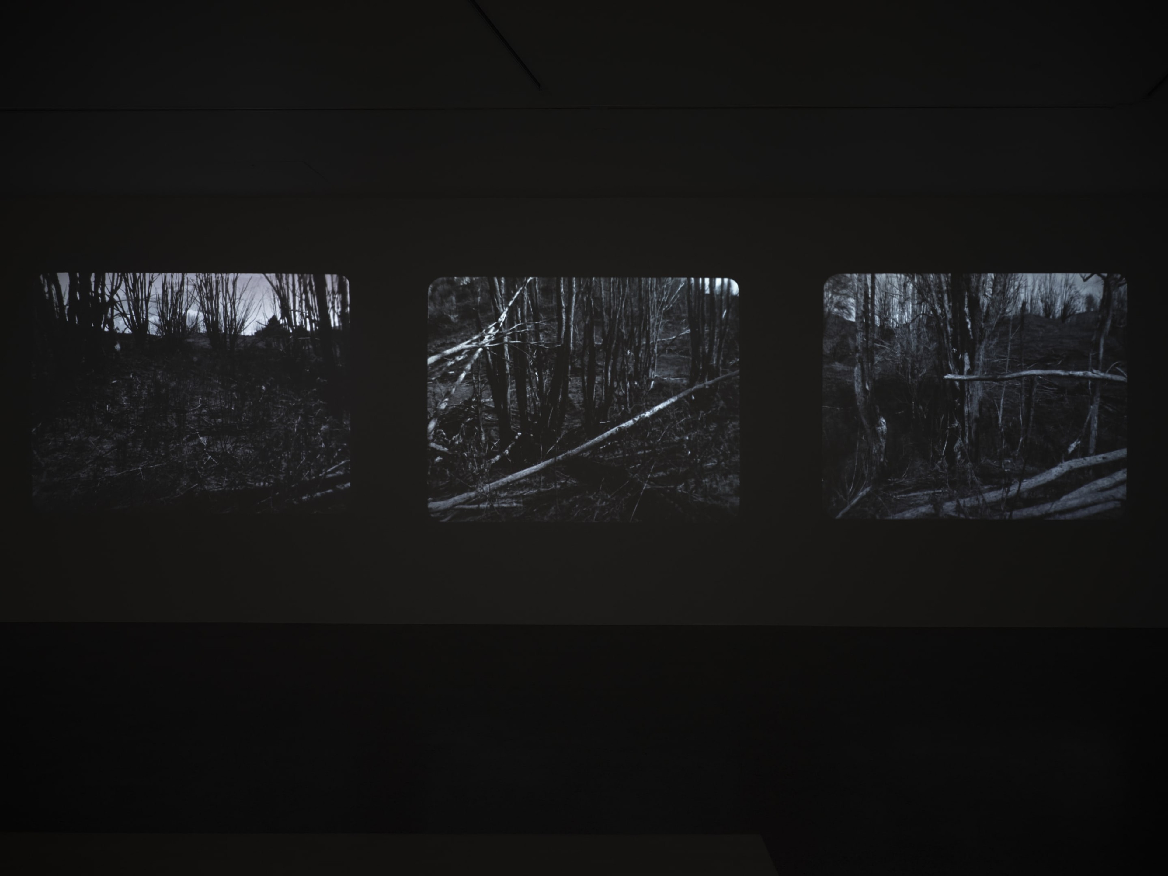 Joyce Campbell On the Last Afternoon installation image Te Uru