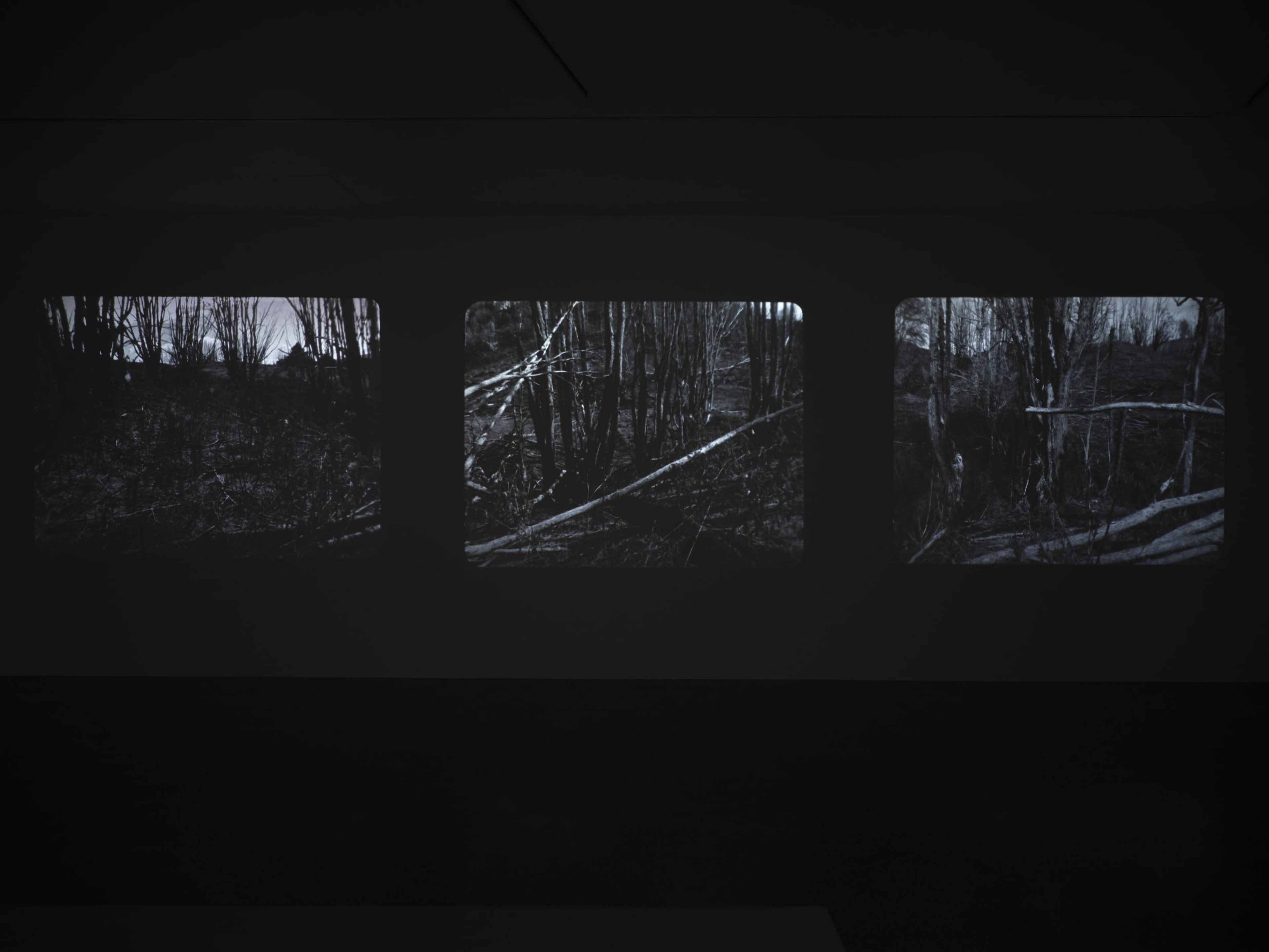 Joyce Campbell On the Last Afternoon installation image Te Uru