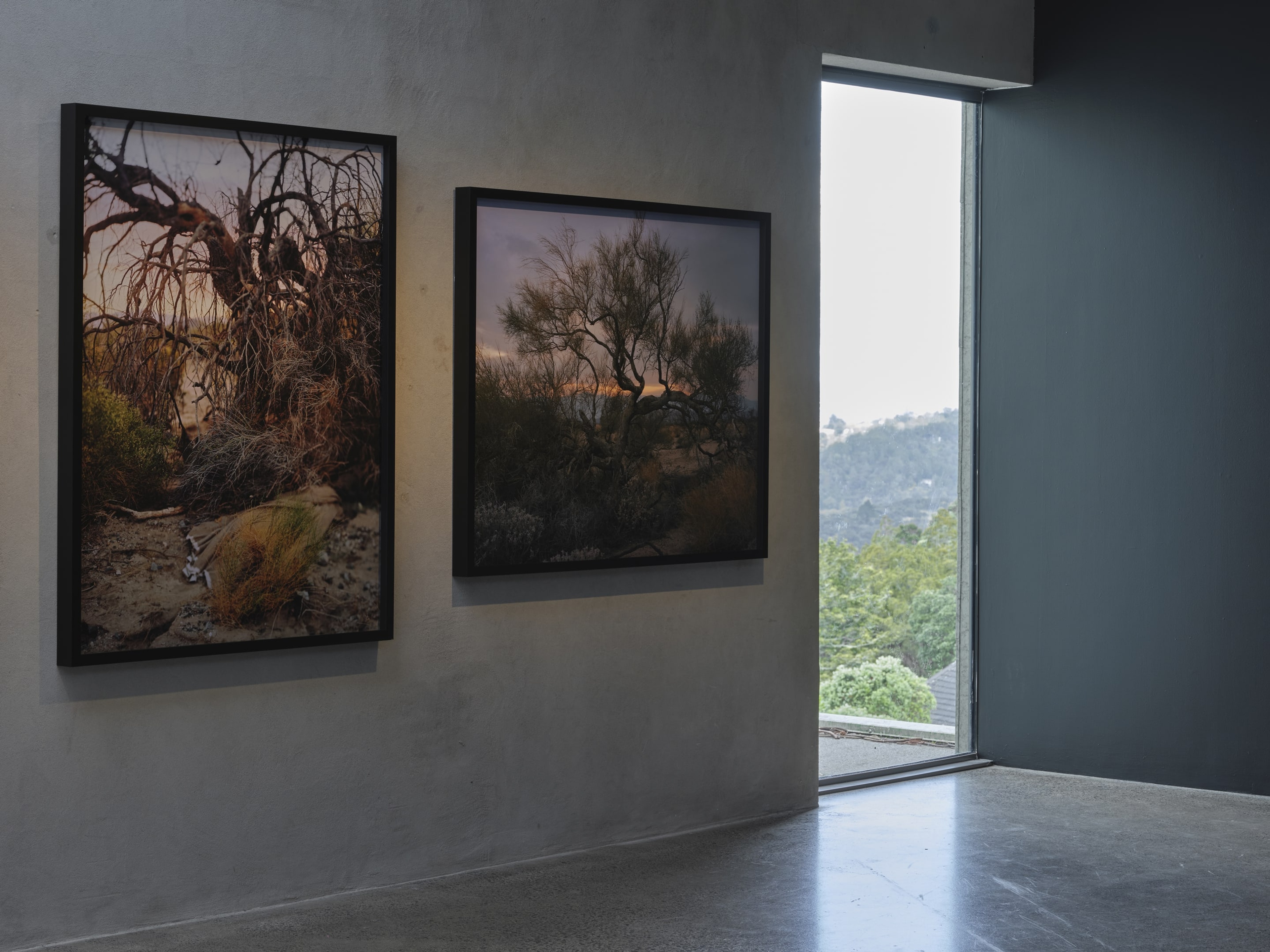 Joyce Campbell On the Last Afternoon installation image Te Uru