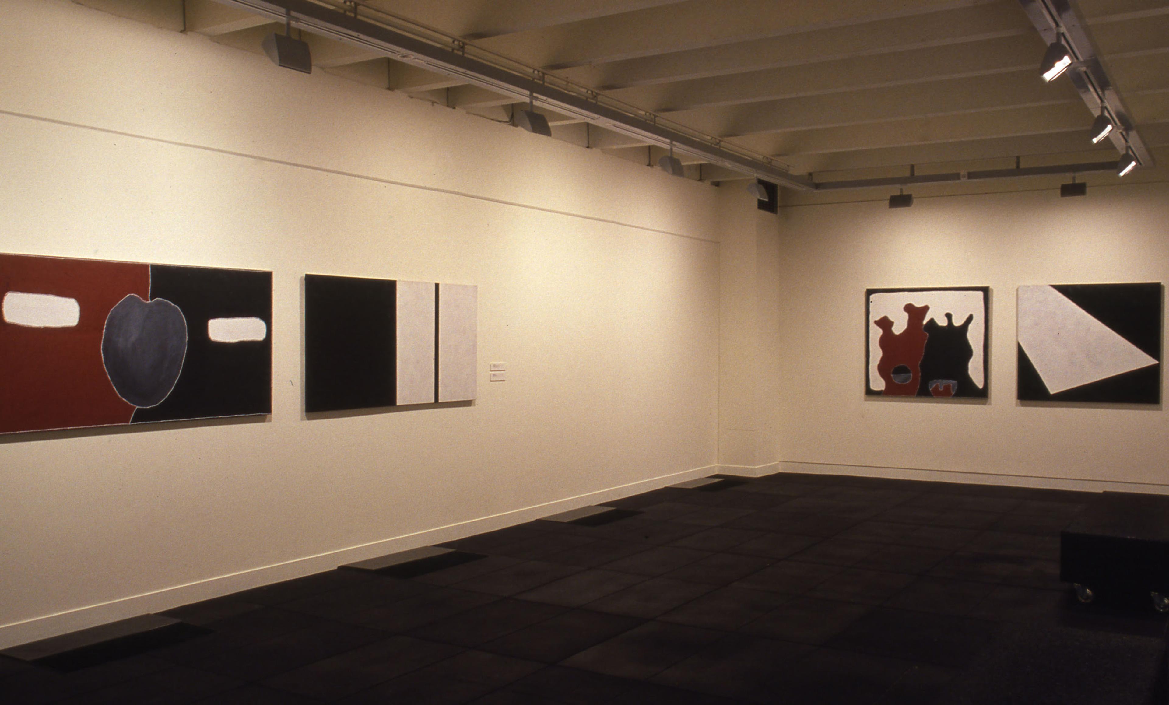 Installation view, Two Laws: One Big Spirit, Adam Art Gallery Te Pātaka Toi, Victoria University of Wellington, 2004