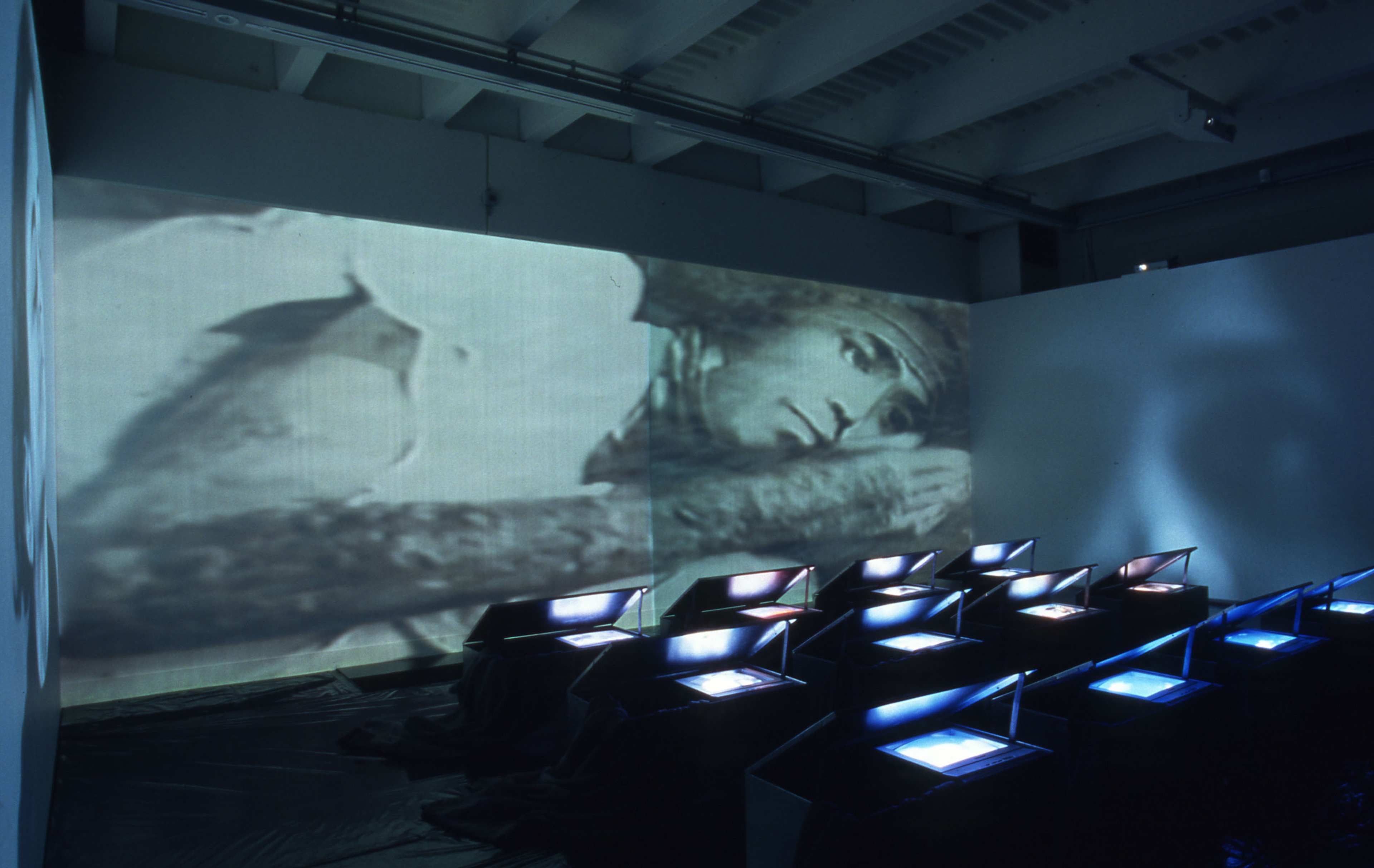 Installation view, Nalini Malani: Remembering Toba Tek Singh, Adam Art Gallery Te Pātaka Toi, Victoria University of Wellington