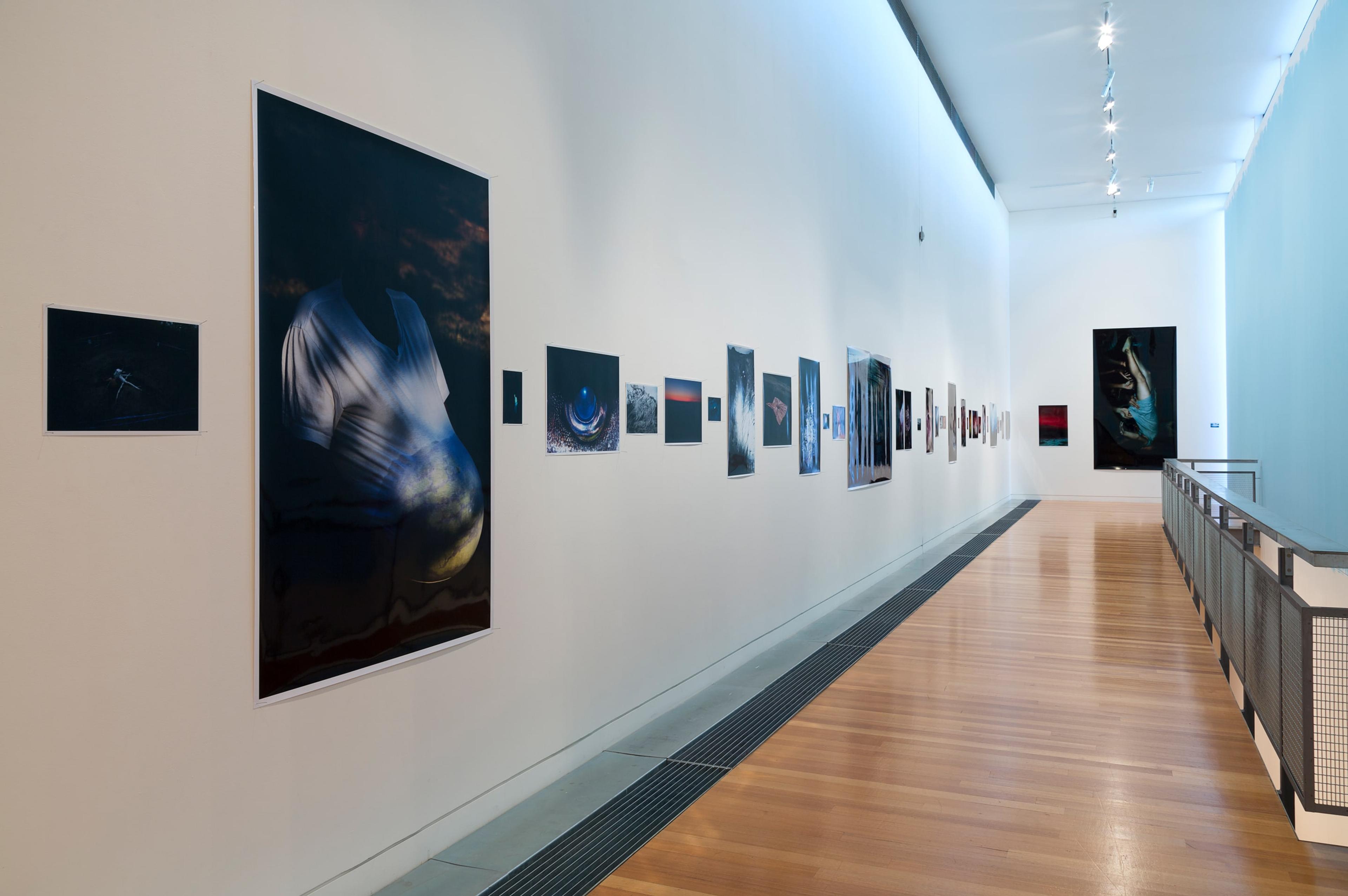 Lieko Shiga, RASEN KAIGAN (2008-2013) at the Adam Art Gallery. Photo: Shaun Waugh.