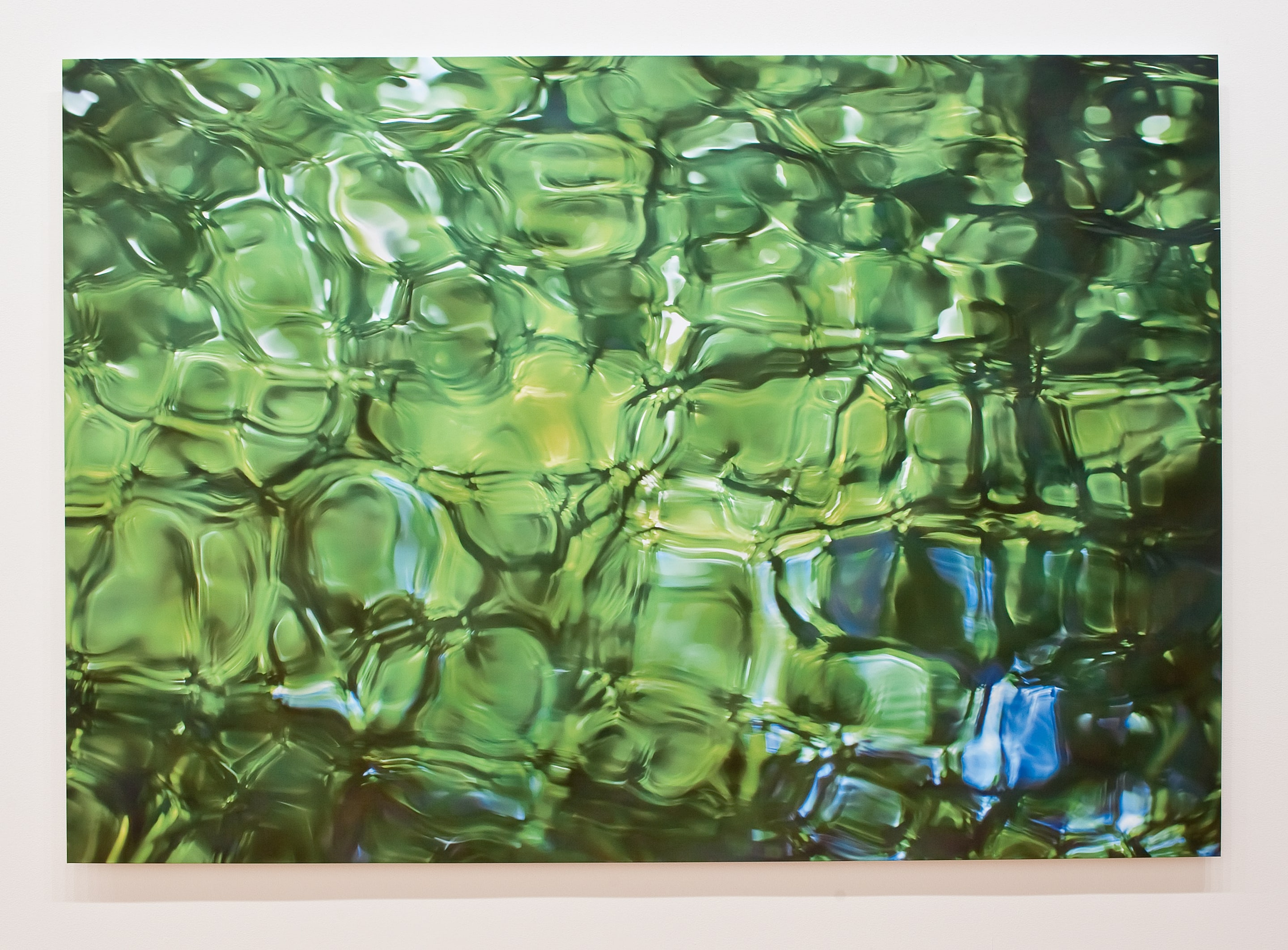 Installation view of Elizabeth Thomson, Inner Raoul, Tui Lake (2012). Polymeric vinyl, archival varnish, acrylic and lacquer on routered wood panel. Victoria University of Wellington Art Collection, purchased 2012. Photo: Robert Cross.