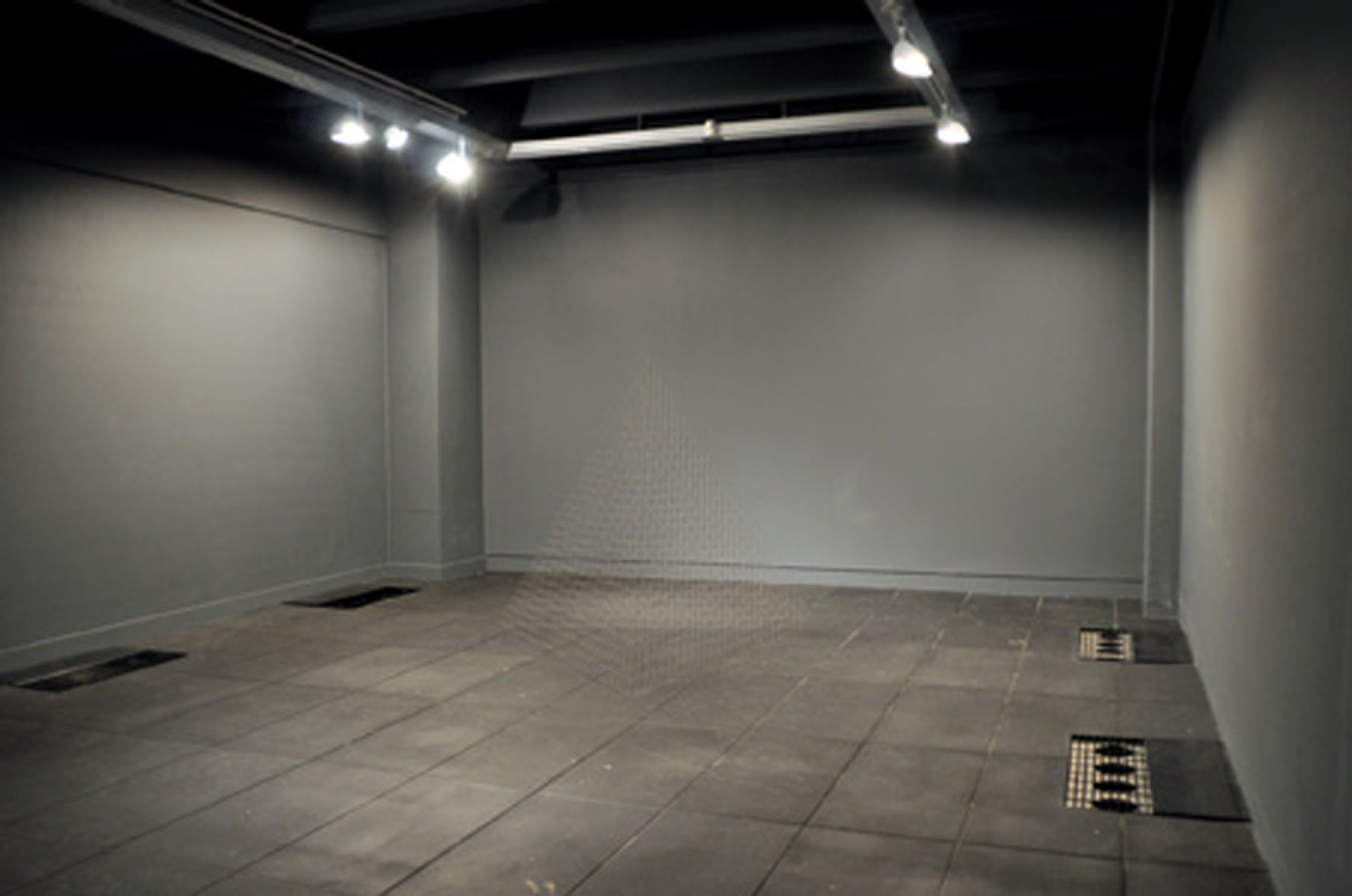 Peter Trevelyan, As yet untitled, 2009, 20,000 0.5mm pencil leads. Installation view, The Future is Unwritten, Adam Art Gallery Te Pātaka Toi, Victoria University of Wellington, 2009 