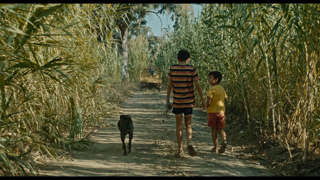 Su cane est su miu