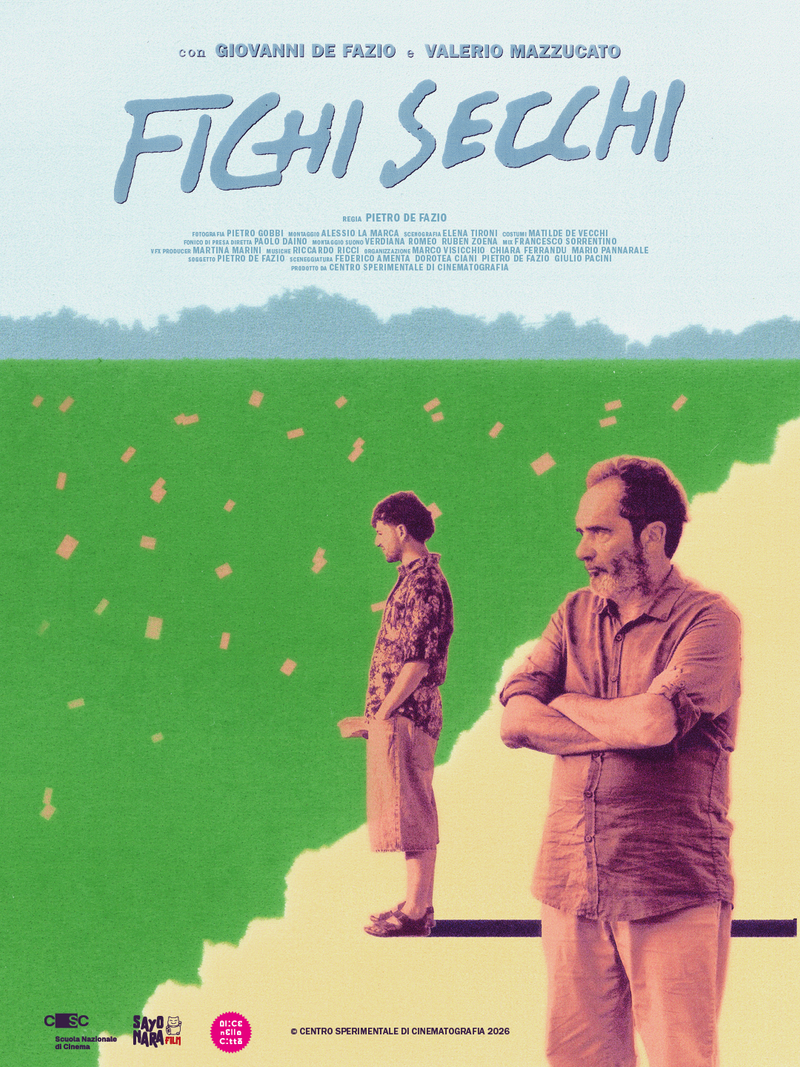 Fichi secchi