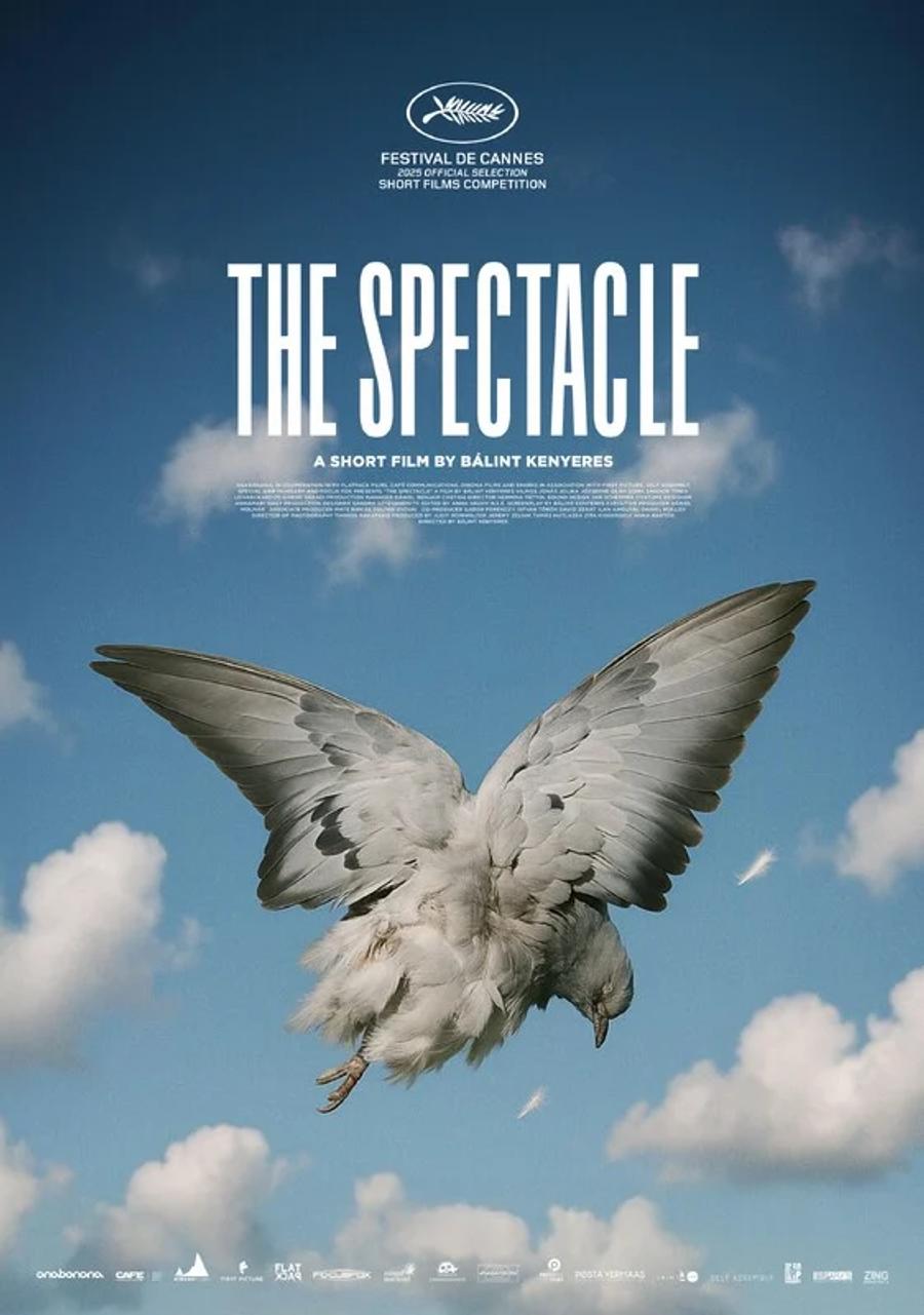 The spectacle