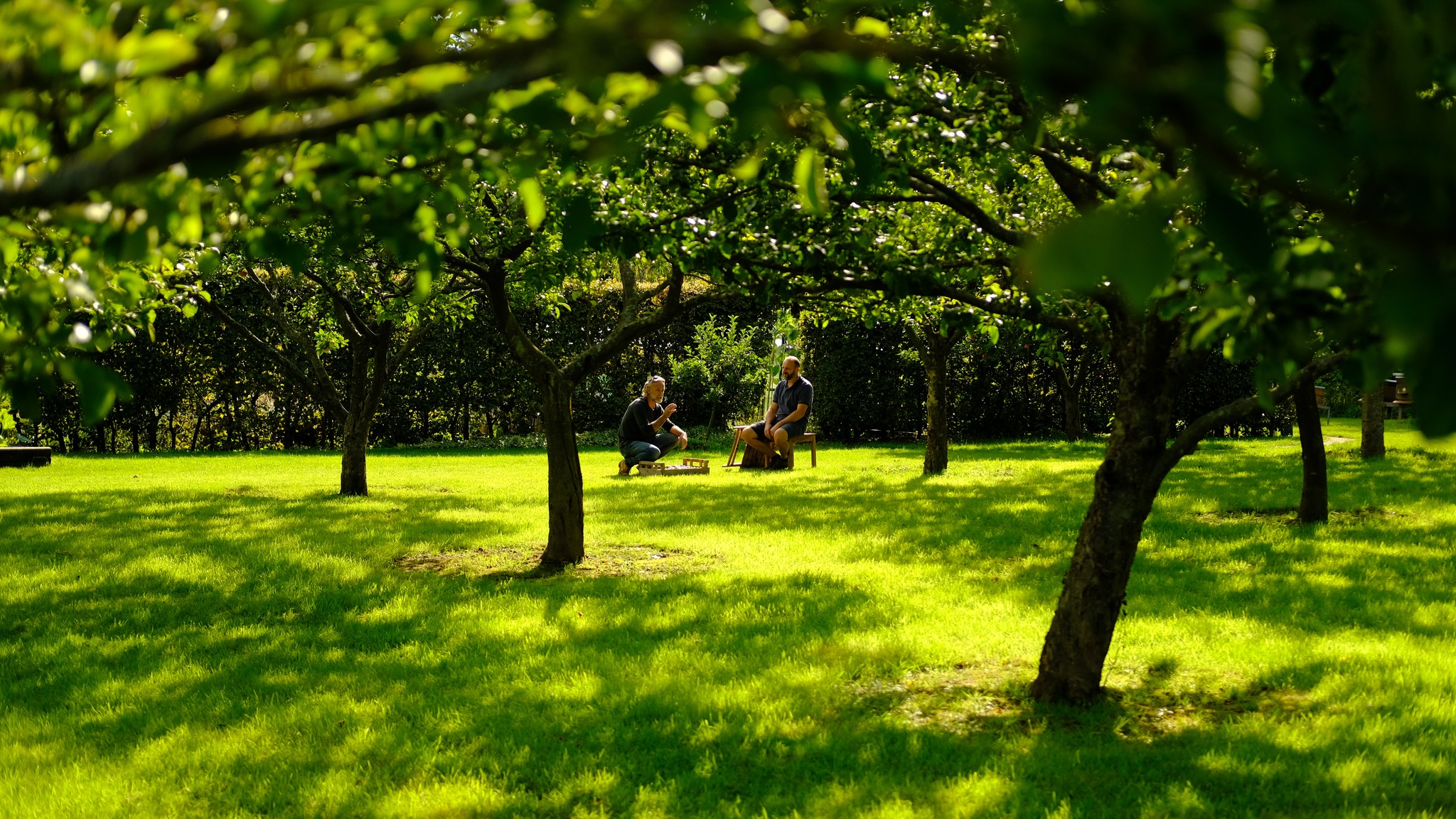 Wide shot of Marcus Wareing and gardener Anatoliy in an apple orchard on his small holding in East Sussex