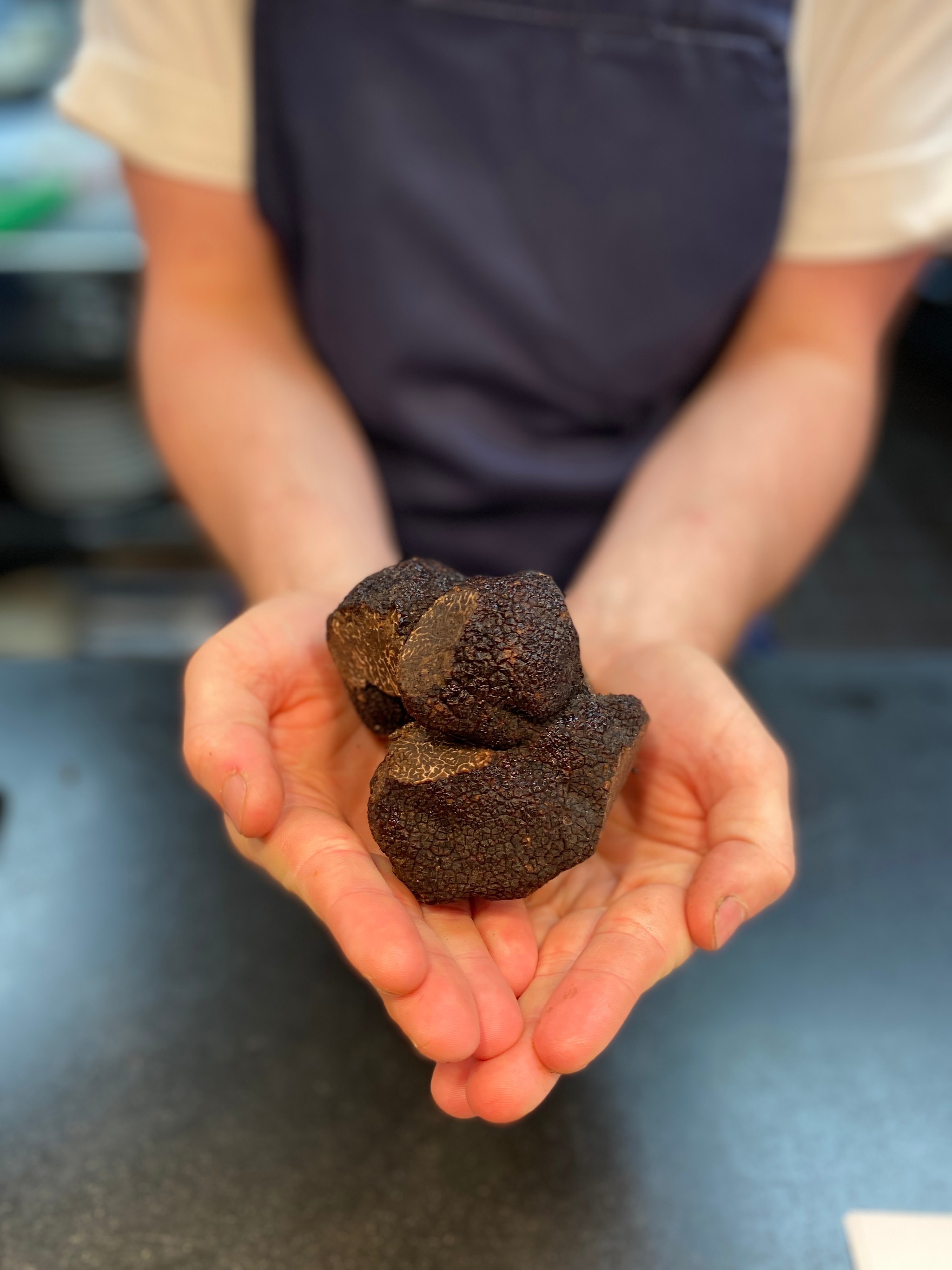 Two hands cupping a large truffle 