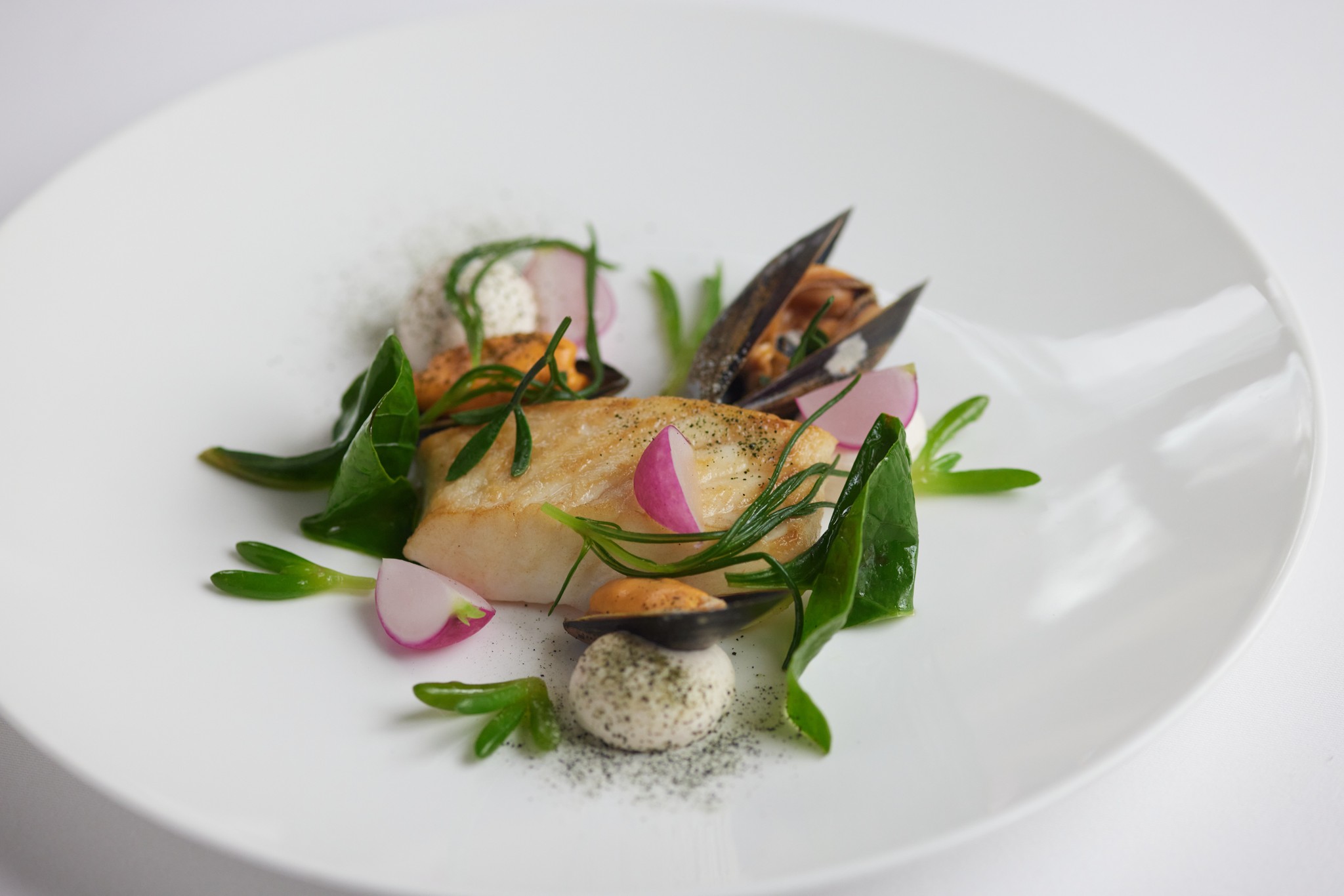 Gigha halibut, smoked roe, Cornish mussels and radish from Marcus Restaurant 
