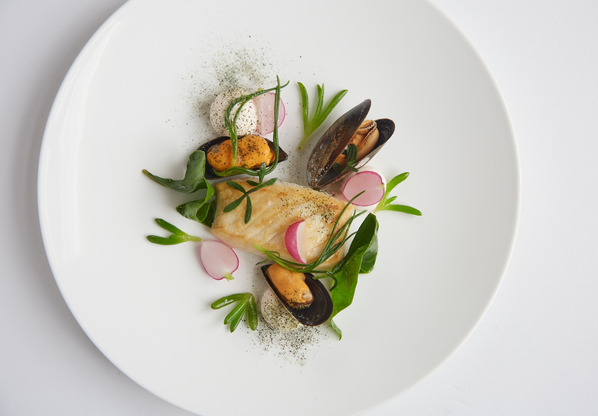 Overhead shot of Gigha halibut with smoked roe, Cornish mussels and radish